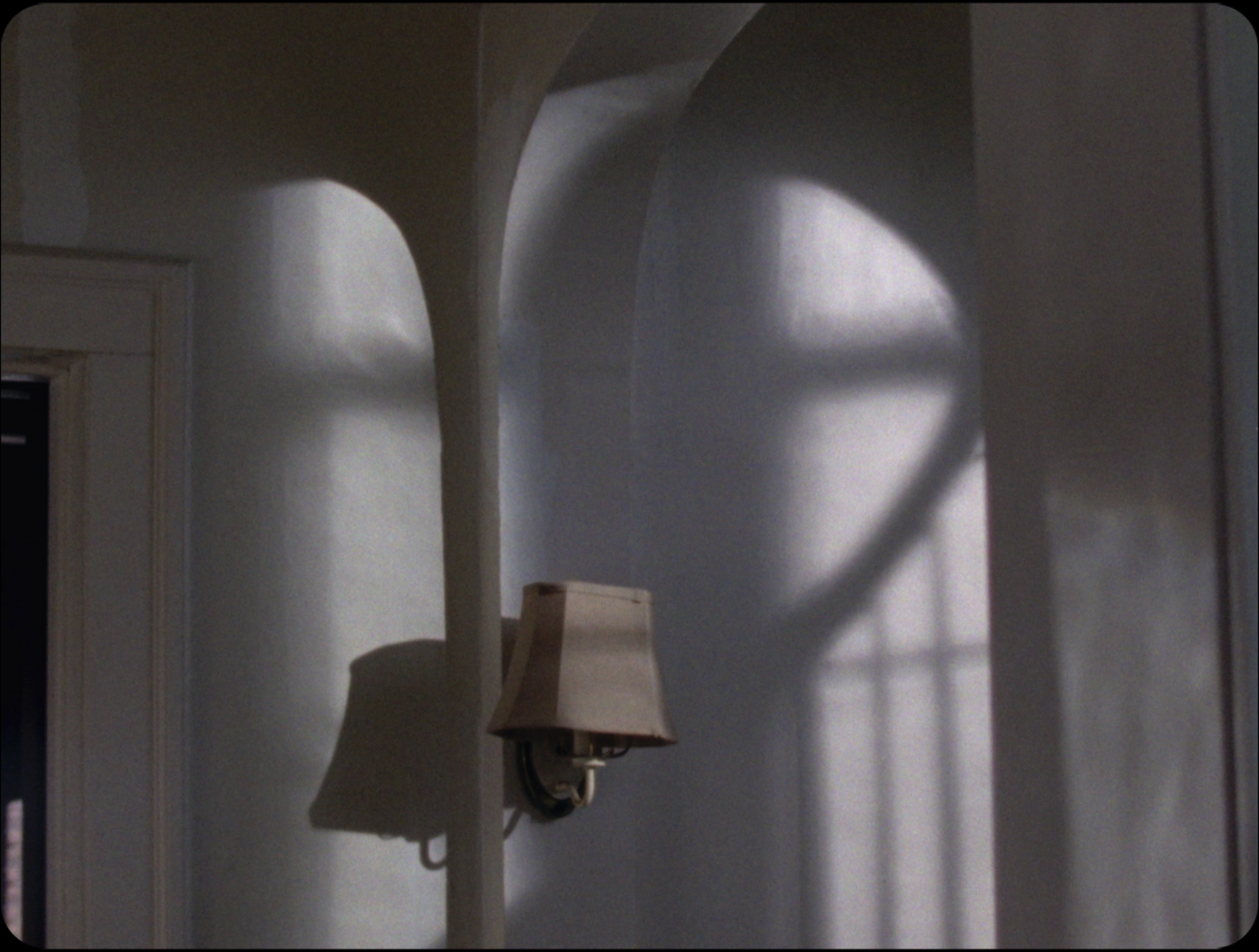 Screen Shot 2021-01-28 at 12.00.27 AM.png