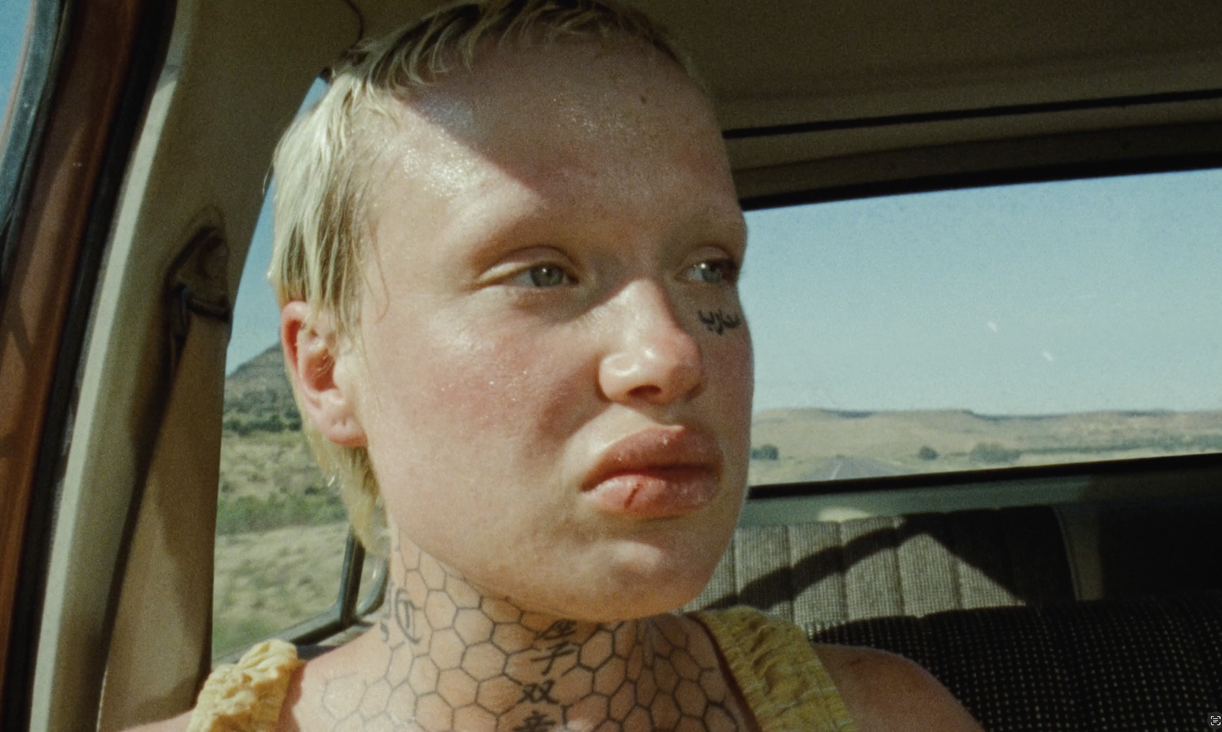 Screenshot 2025-12-31 at 14.04.17.png