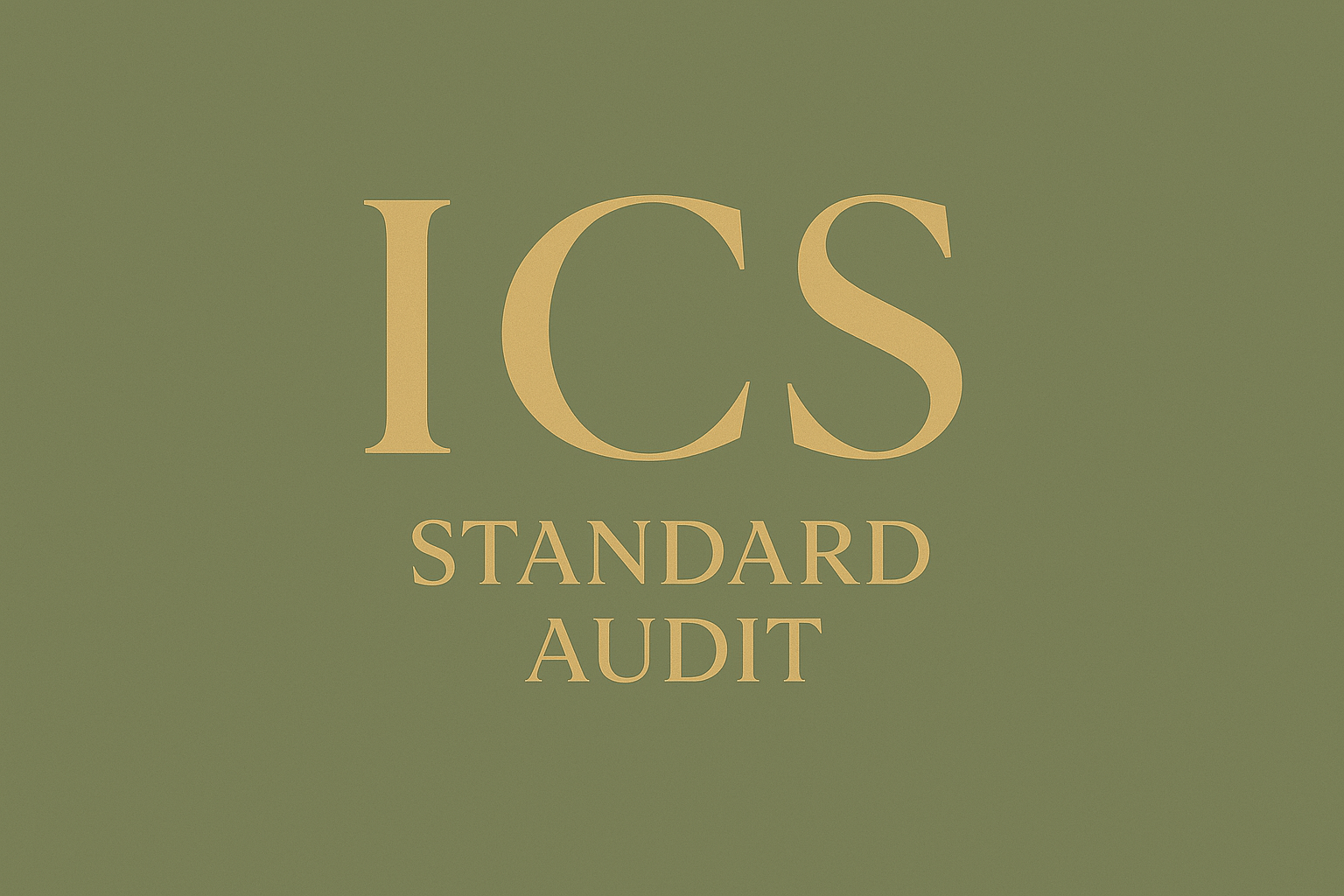 Tier 2A: Standard Audit – $650