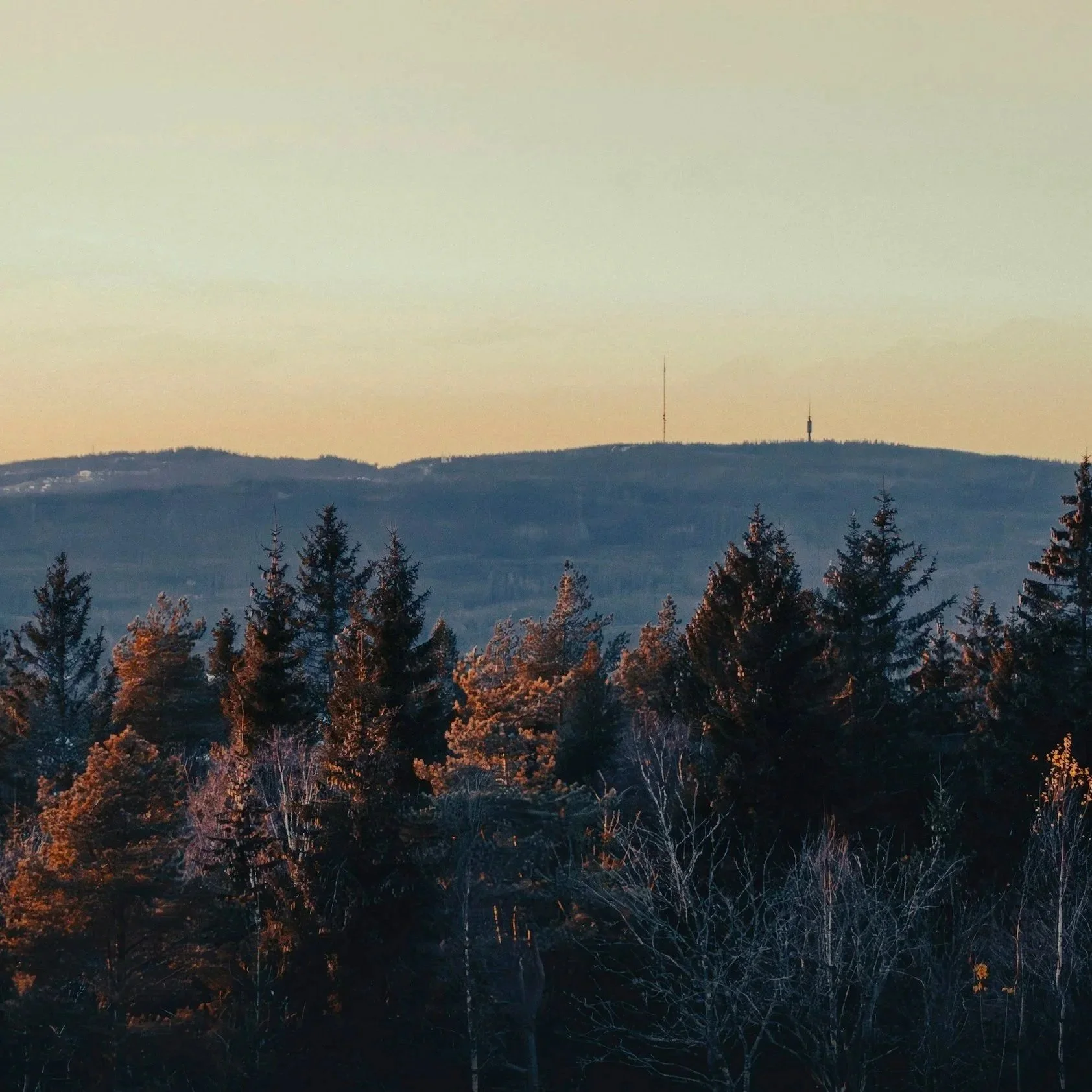 unsplash-image-7VArG3DkUmg.jpg
