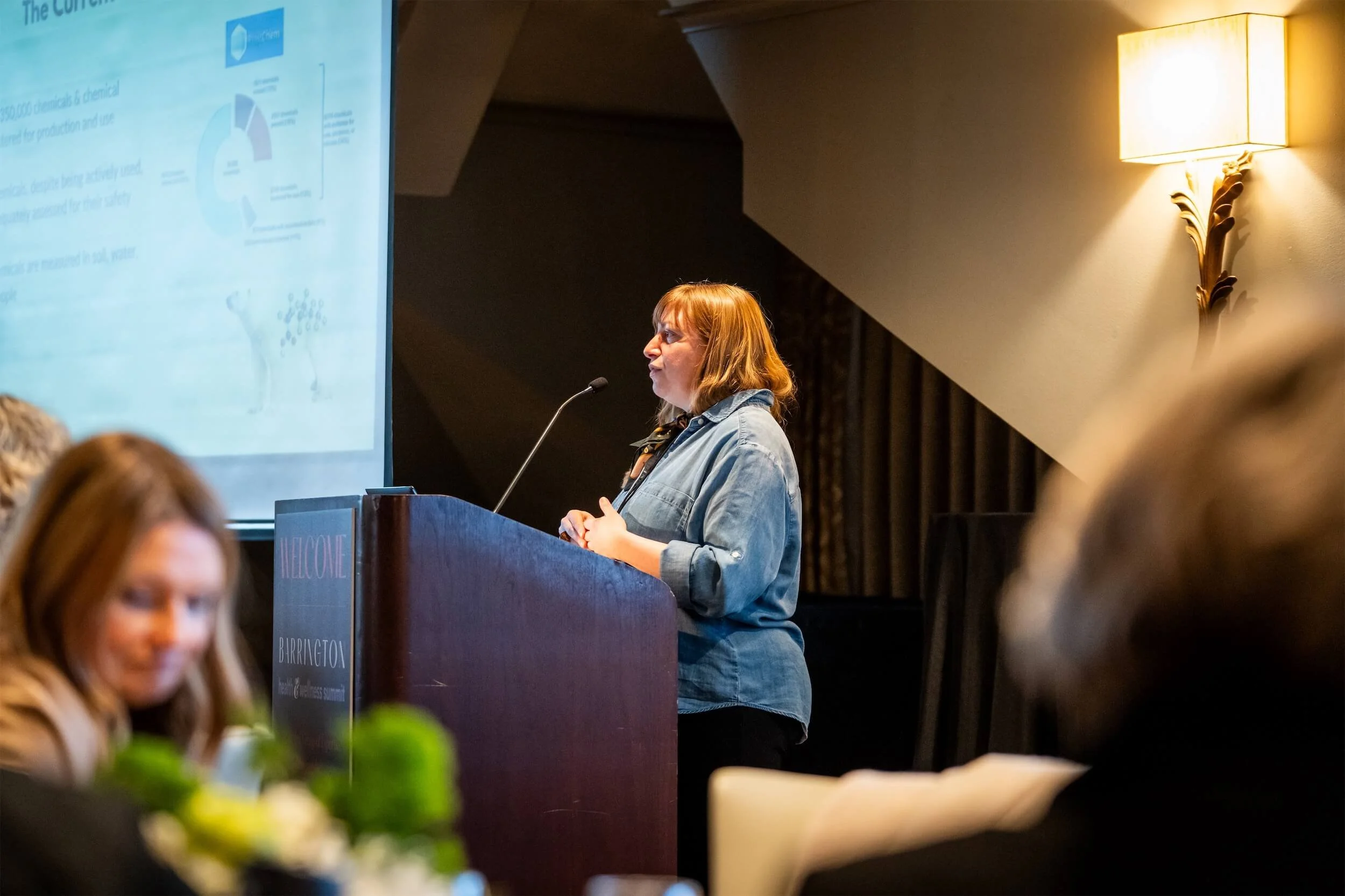 BHWS25 Adler pod wide angle.jpg