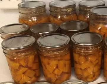 Digital Download Video - how to pressure can Butternut Squash soup