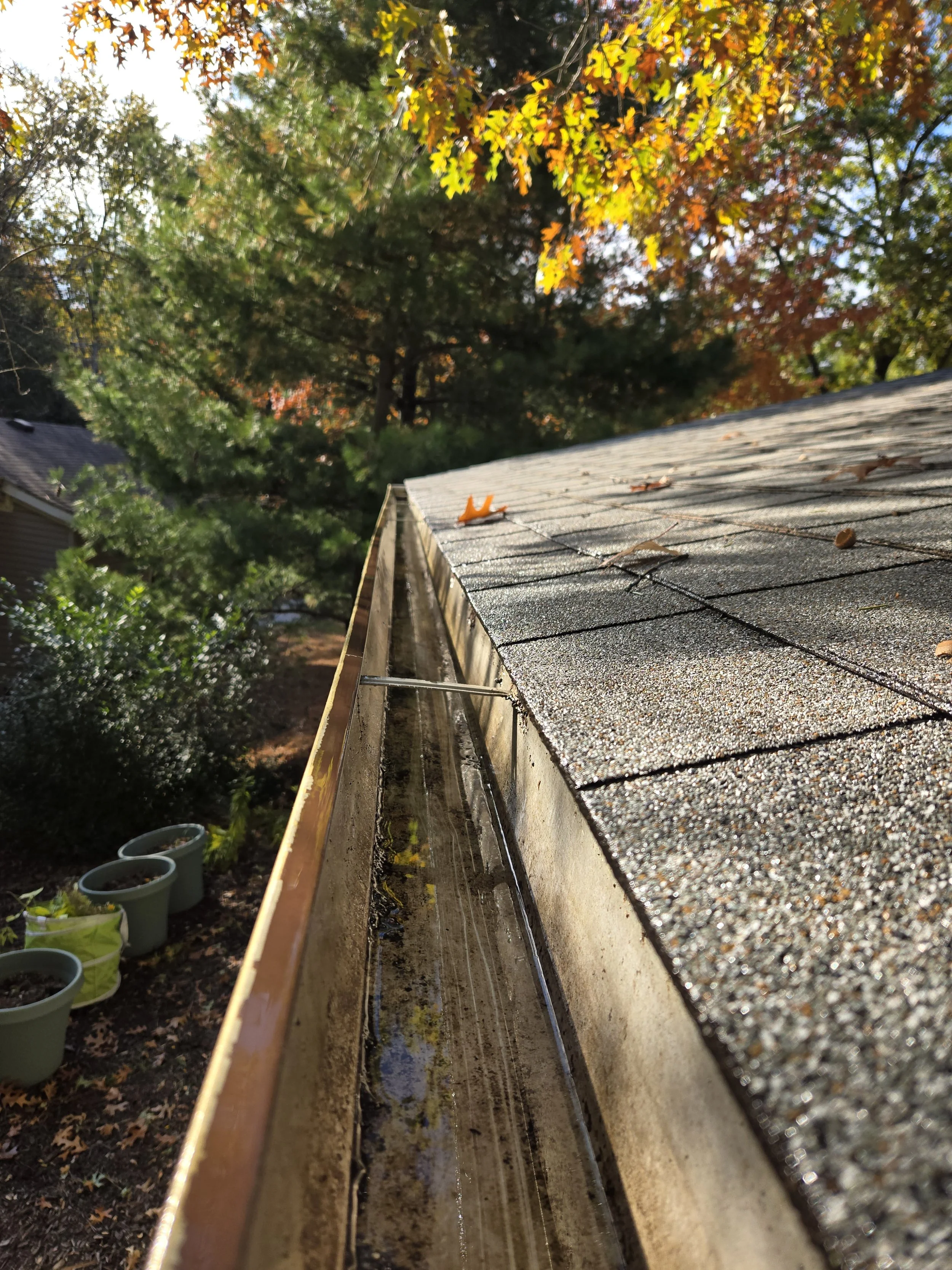 Close-up of a roof with asphalt shingles, showing leaves and debris on top and a gutter along the edge, with trees in the background.