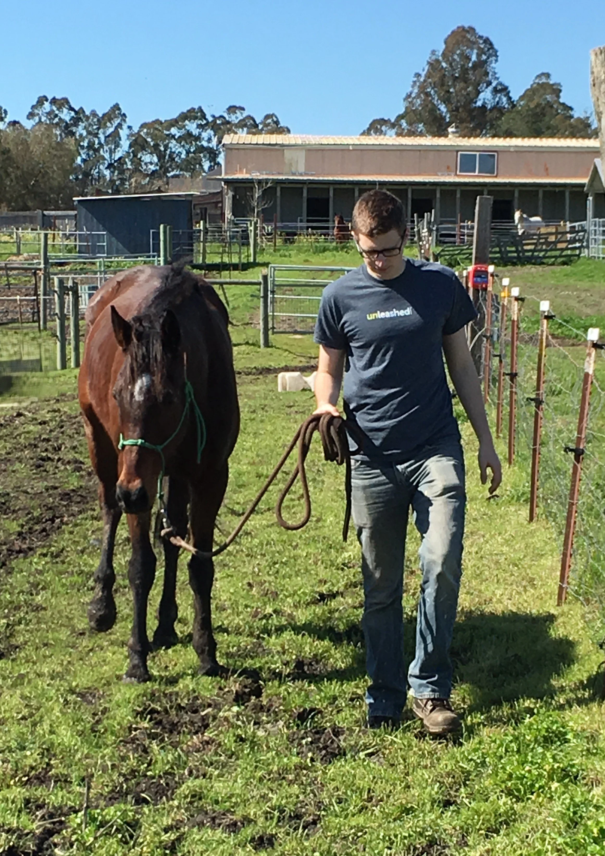 Man walking with a horse on a farm under a clear blue sky.
