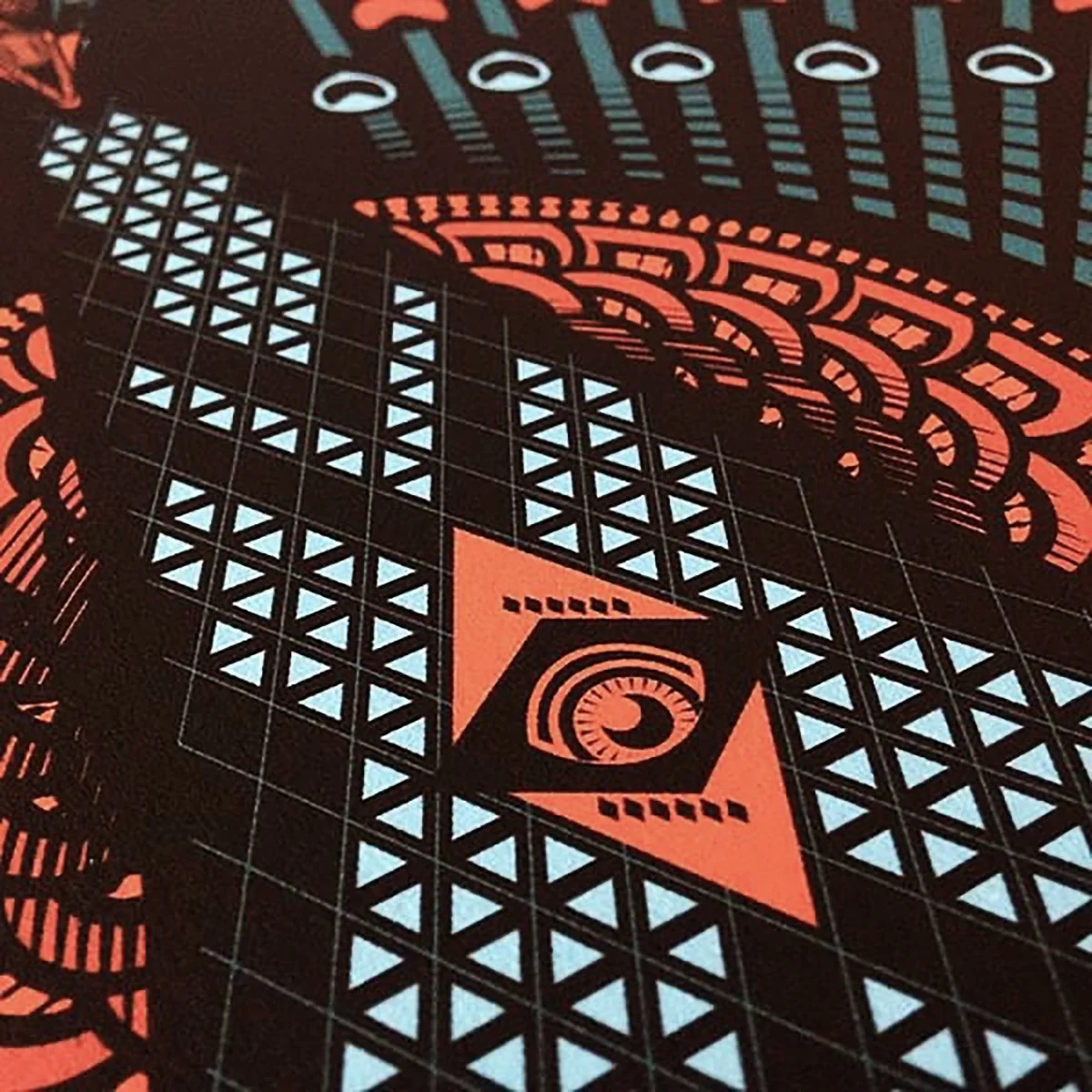 The Majestic Peacock-closeUp-Print2.jpg