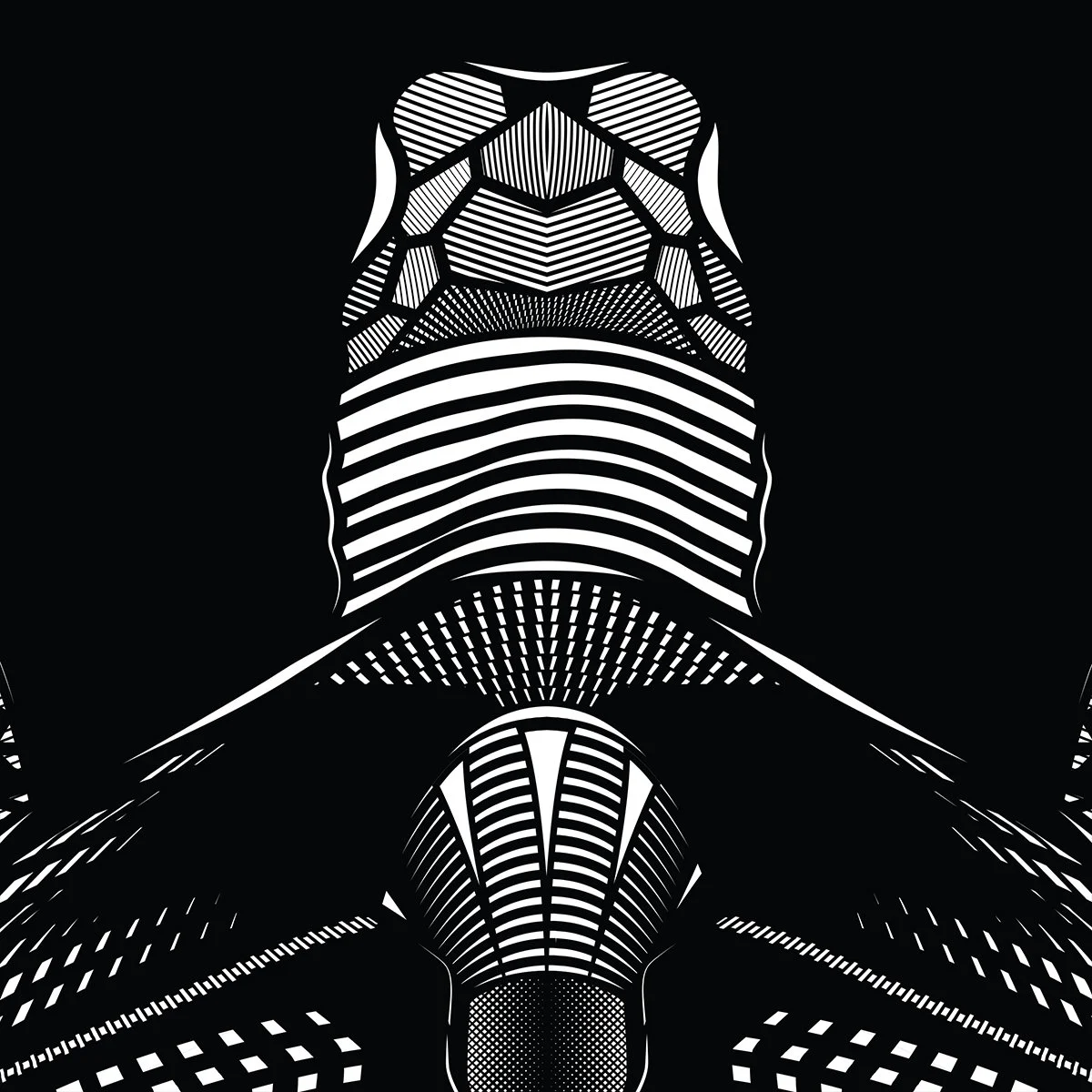 The-Travelling-Turtle_by_fieldinspired_BW_3.jpg