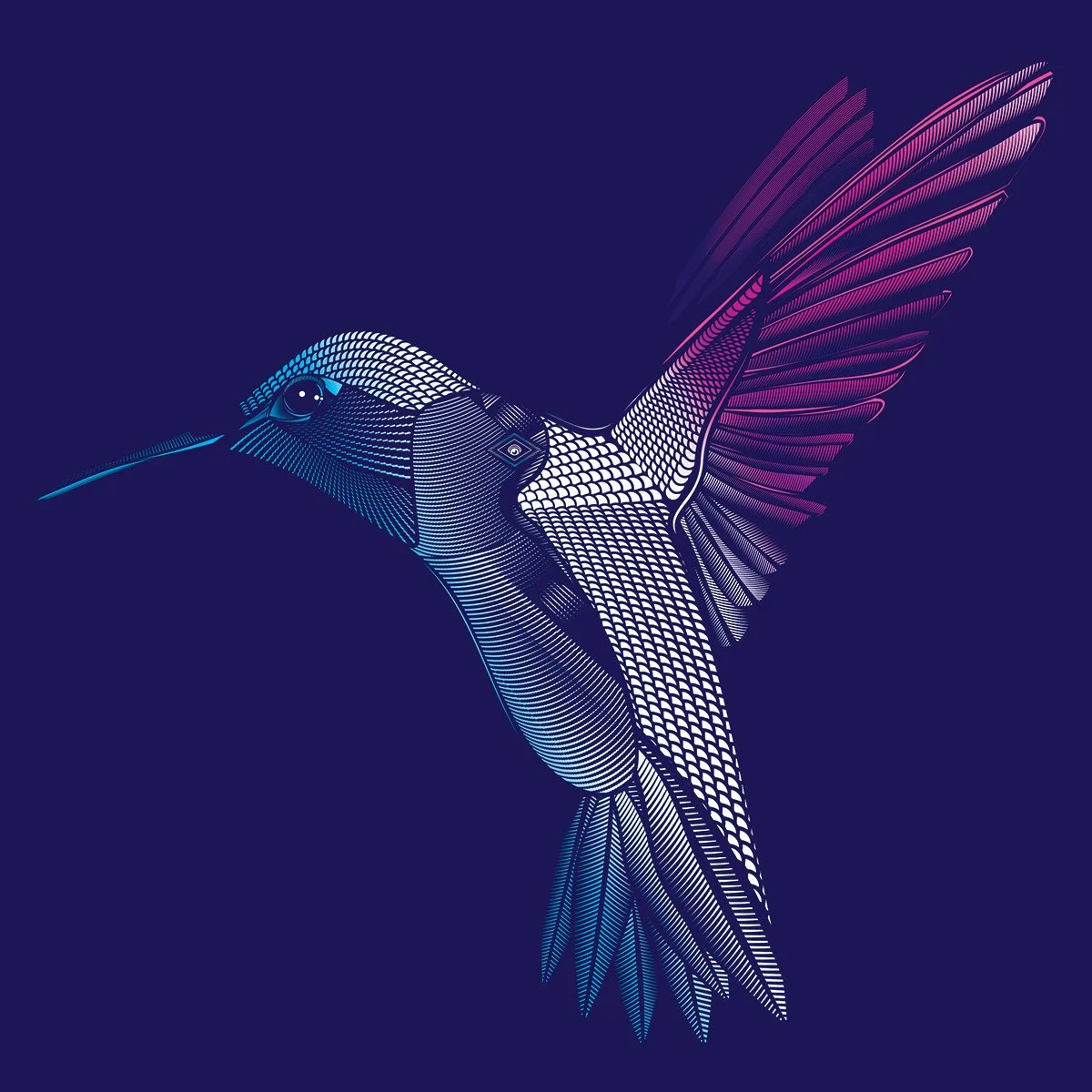 The Hopeful Hummingbird