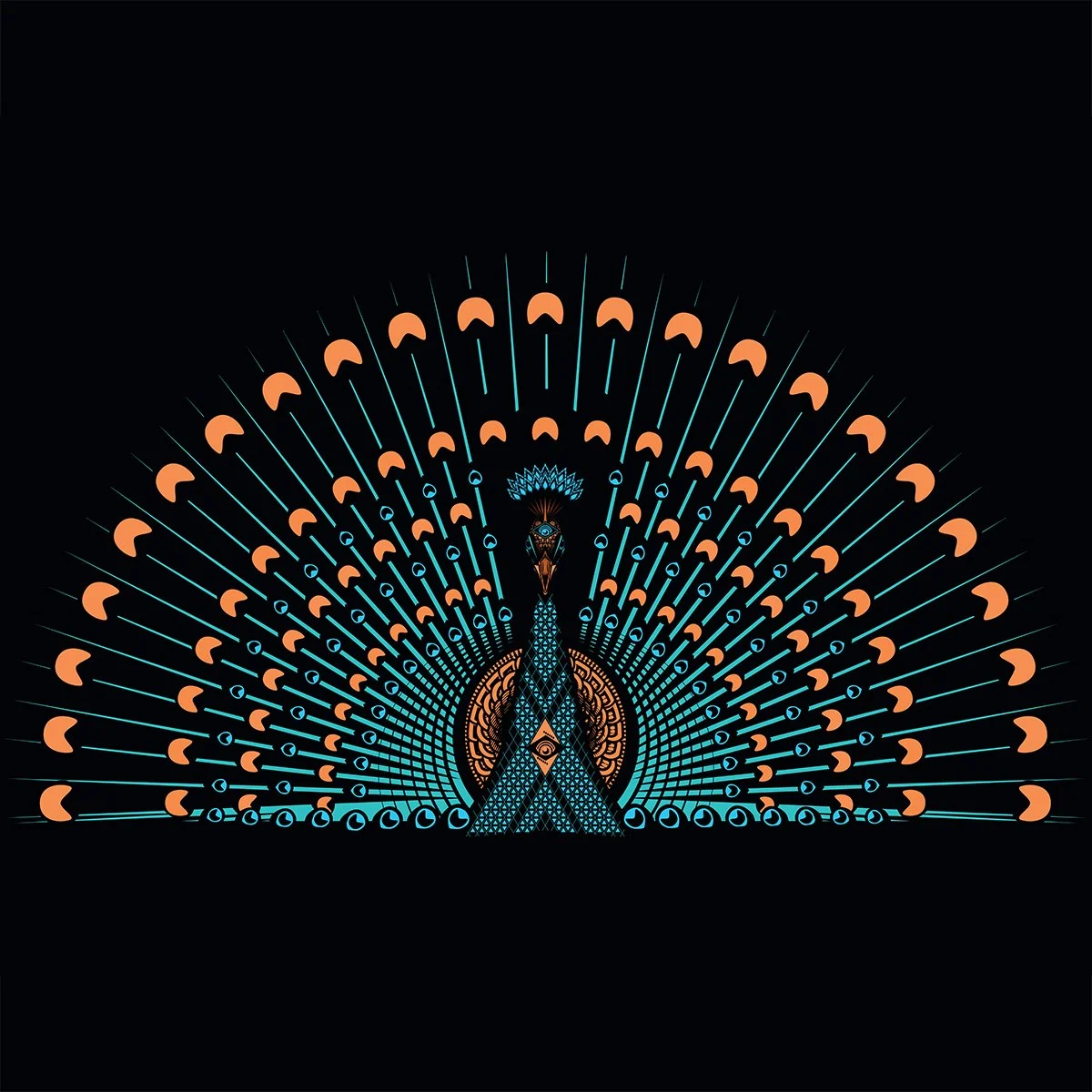 The Majestic Peacock