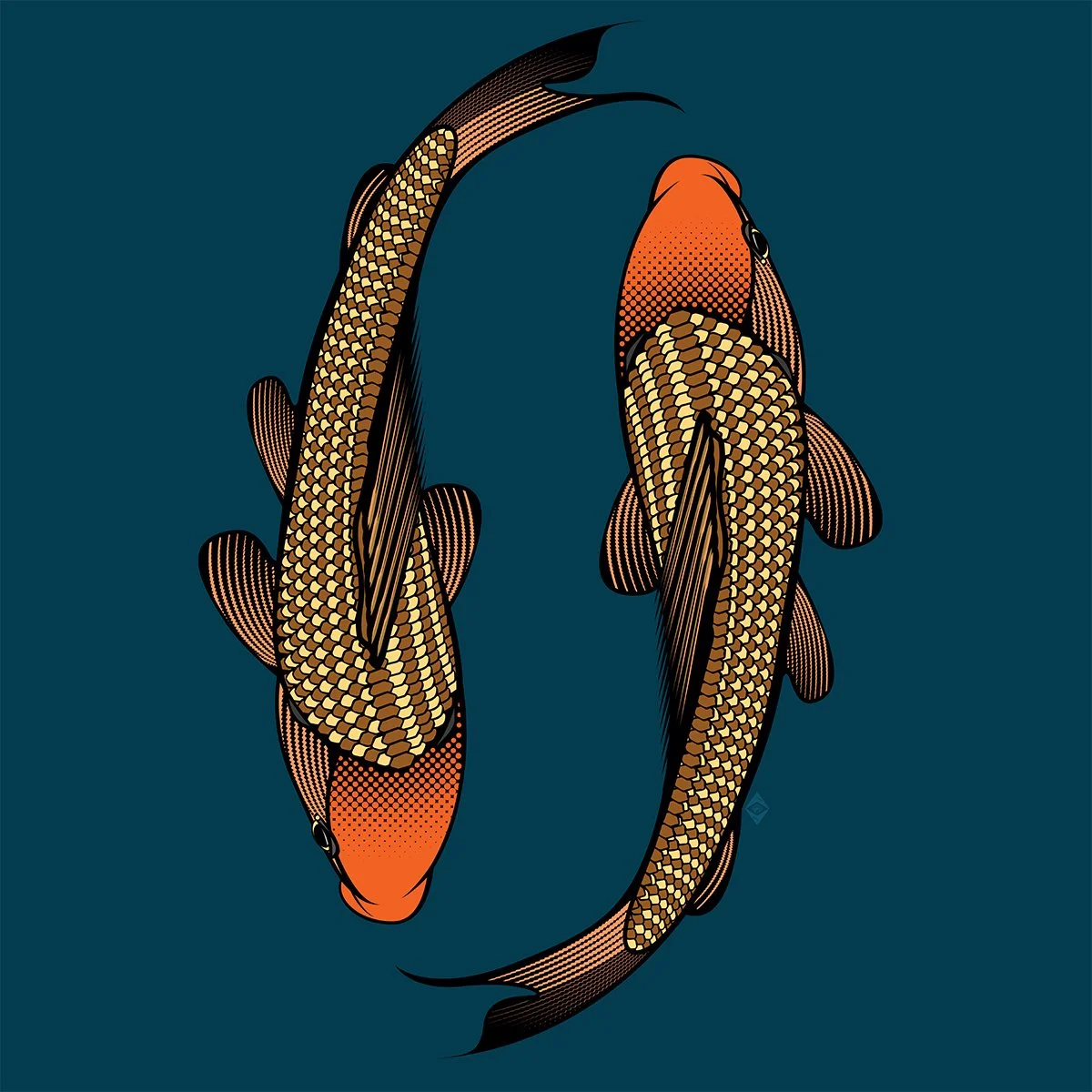 The Dance of the Koi Koi