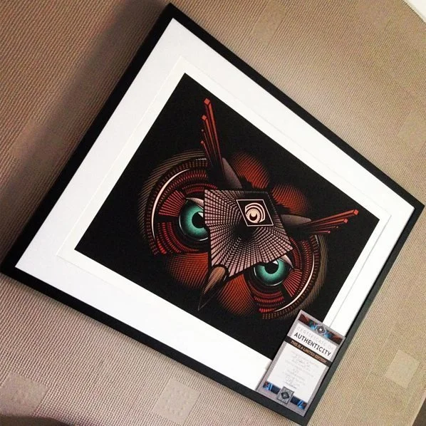 Photo of the All Seeing Owl by Fieldinspired, signed, certified, printed, mounted and framed. Ready to be shipped internationally to a customer.