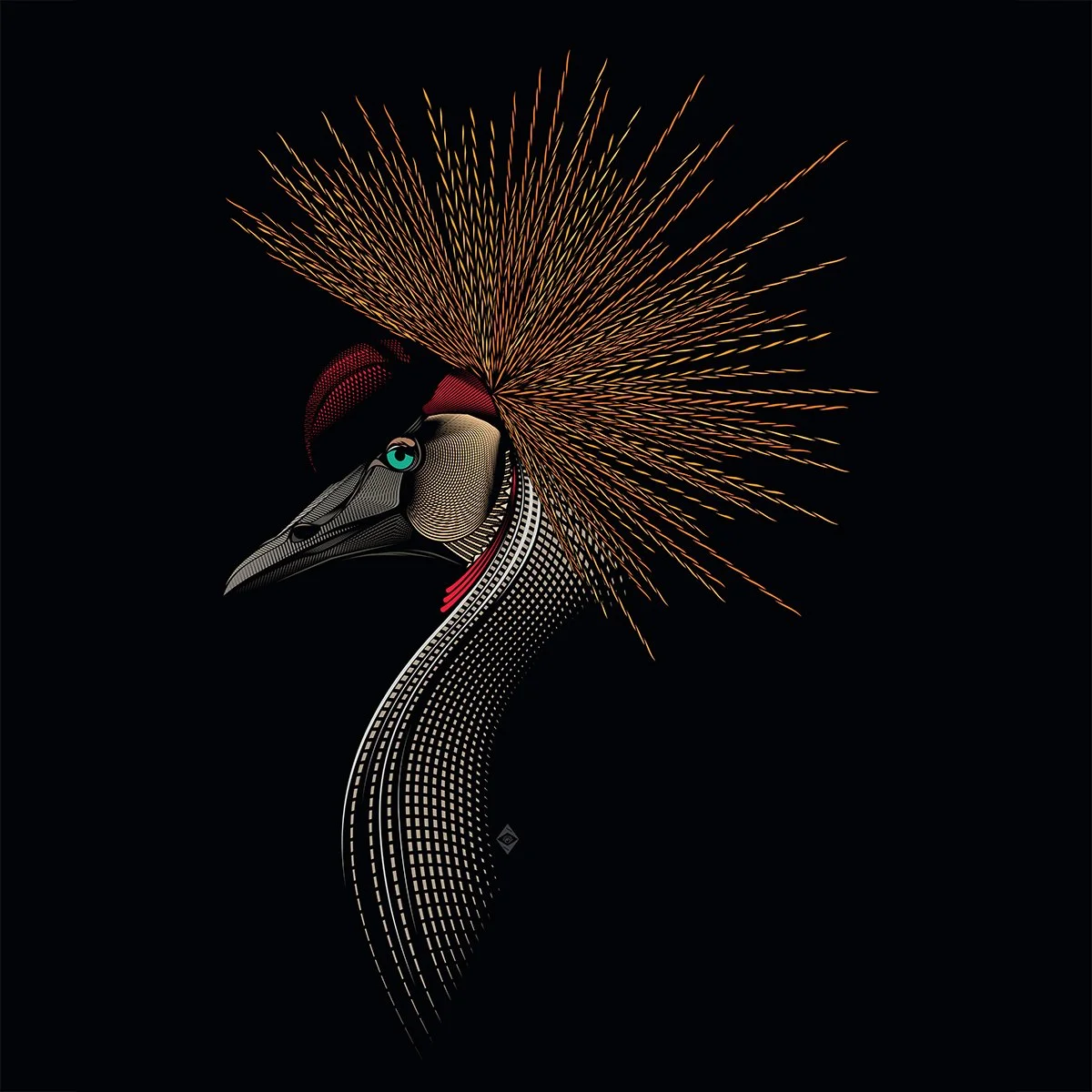 The Crowned Crane
