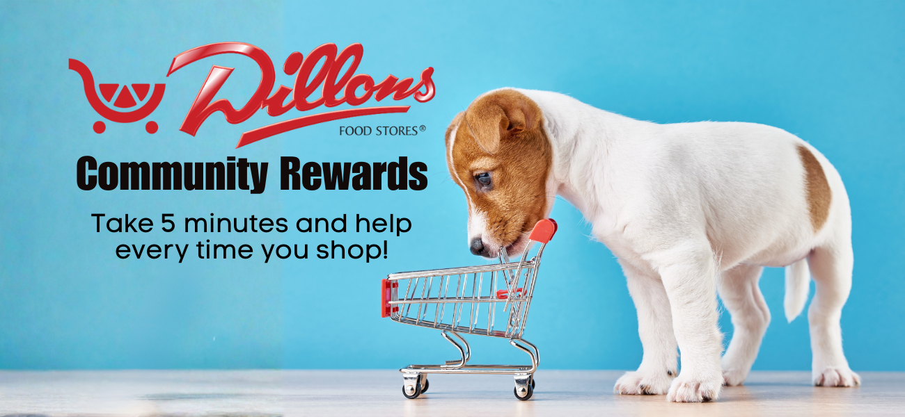 A puppy with a brown and white coat looking into a miniature shopping cart against a blue background, promoting Dillon's Food Stores Community Rewards program.