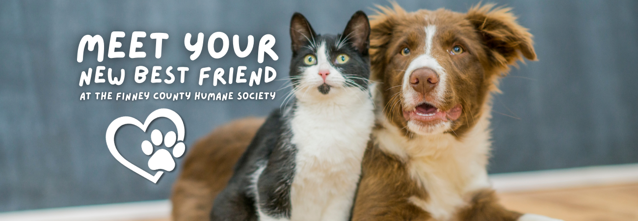 Meet Your New Best Friend (5).png