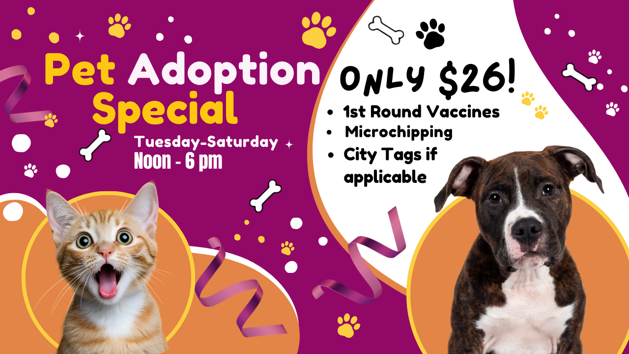 Copy of Humane Society (6).png