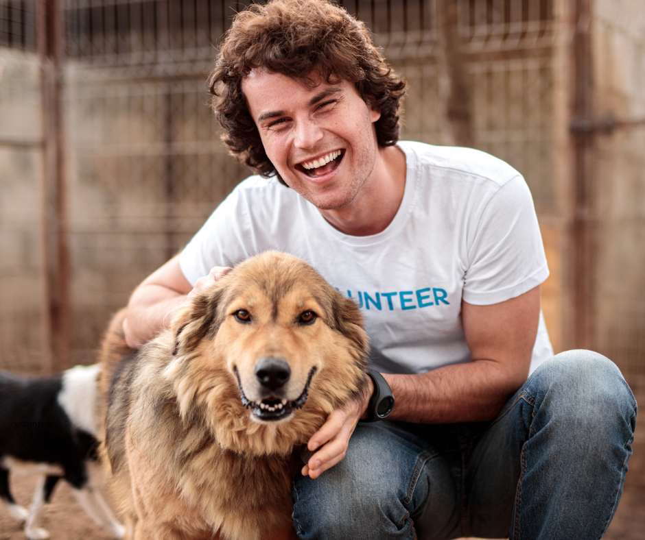 A young man in a white volunteer t-shirt smiling and kneeling outdoors, petting a large, happy golden retriever dog.