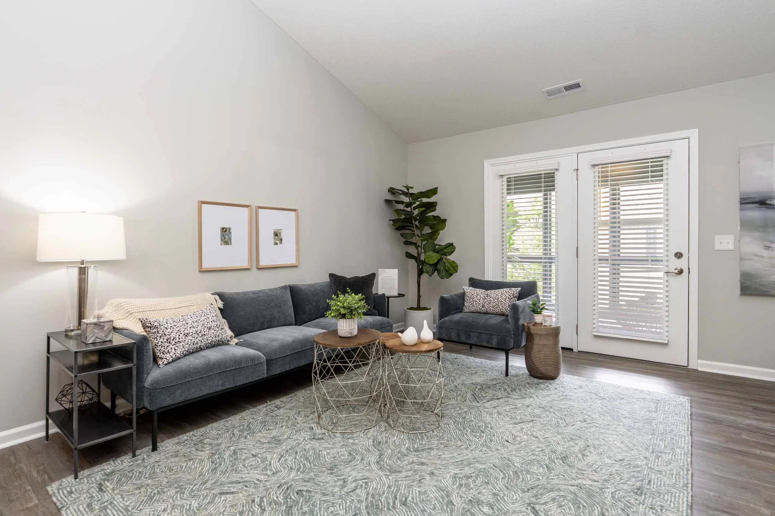 A living room with a gray sofa, a side table, and a glass table on a patterned gray and white rug. The room has white walls with two piece of artwork, a tall green plant in the corner, and a glass door with blinds letting in natural light.