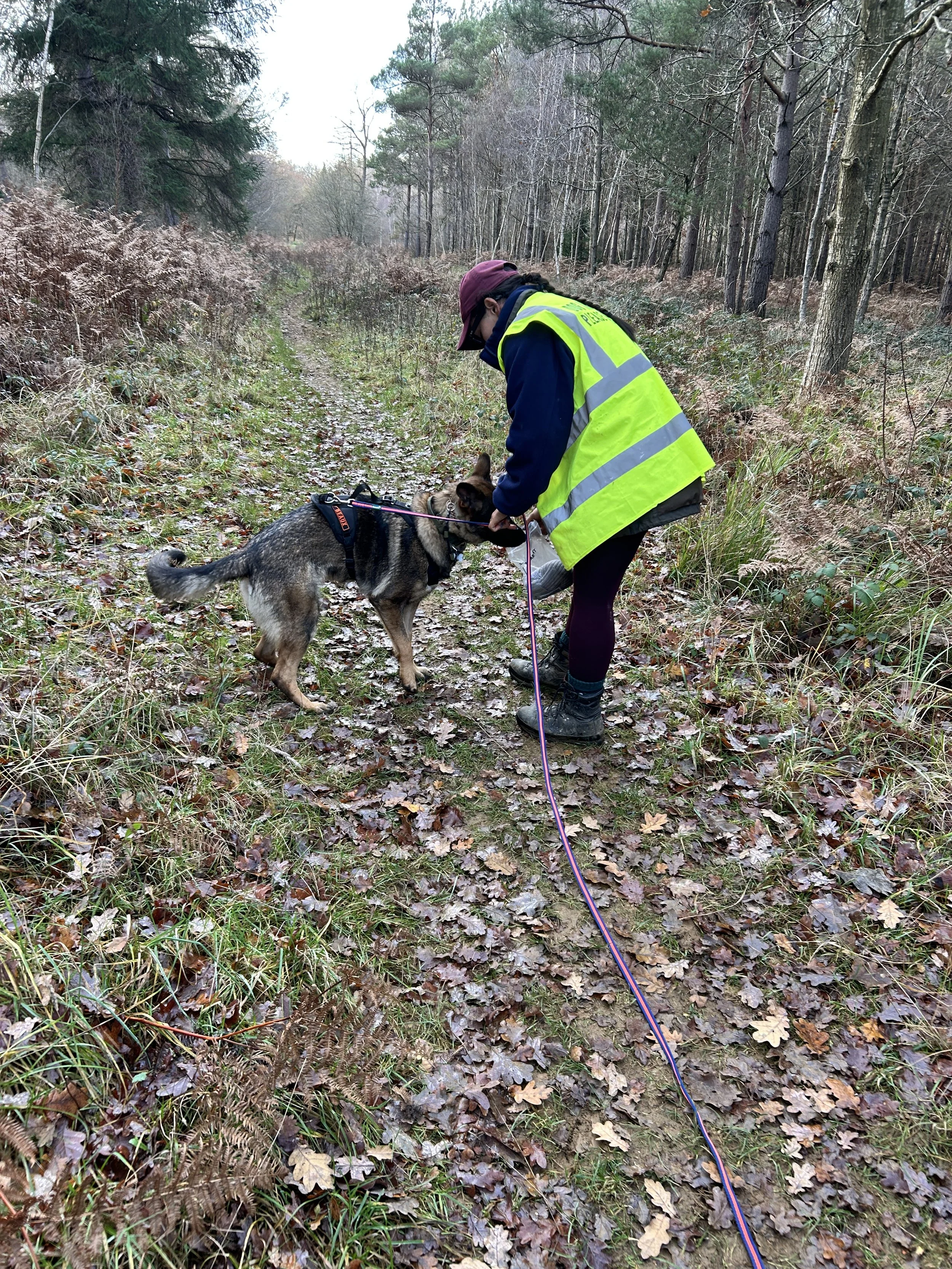 Trailing in Wakerly woods, corby