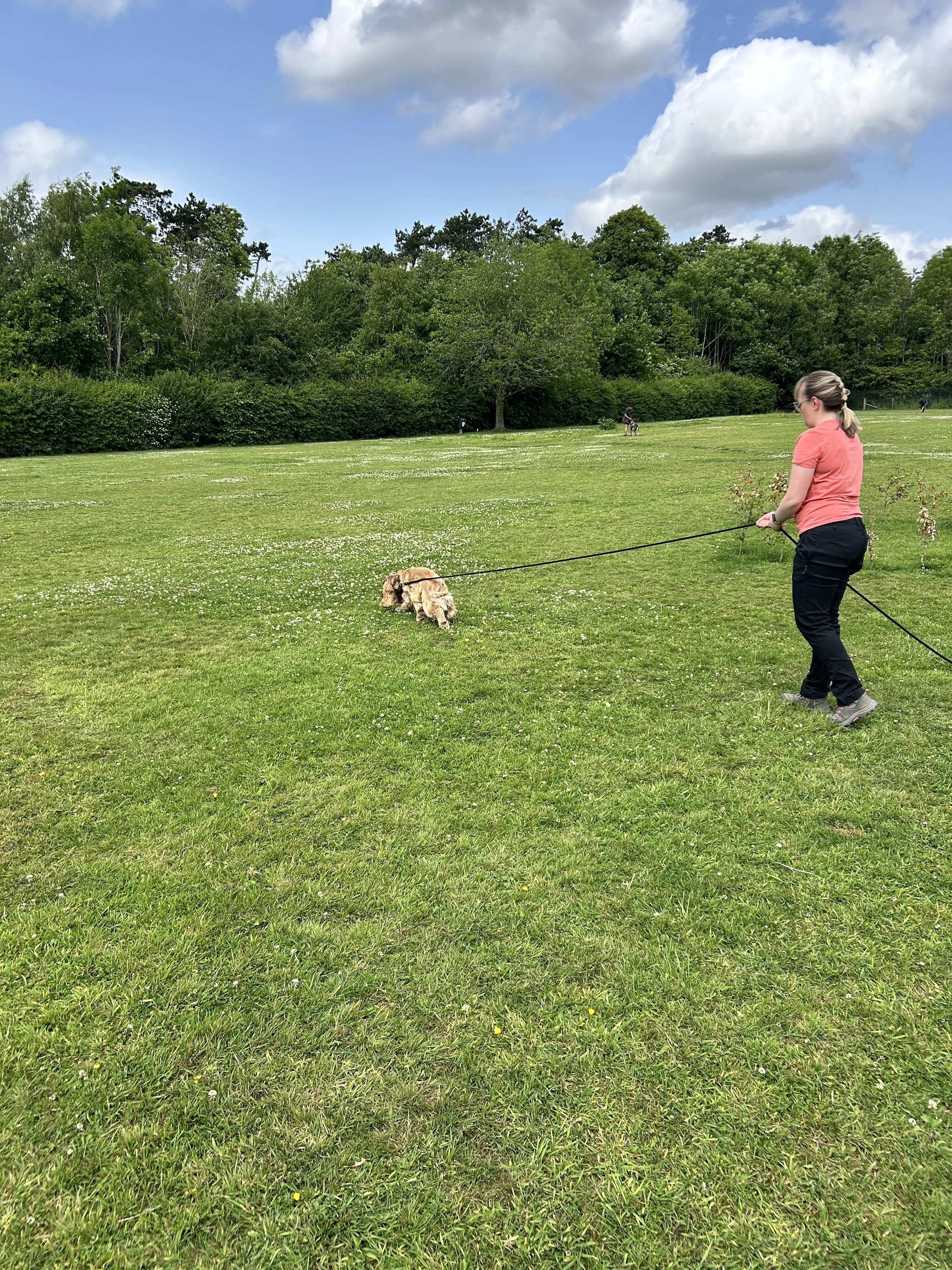 A client on week two of our tracking course