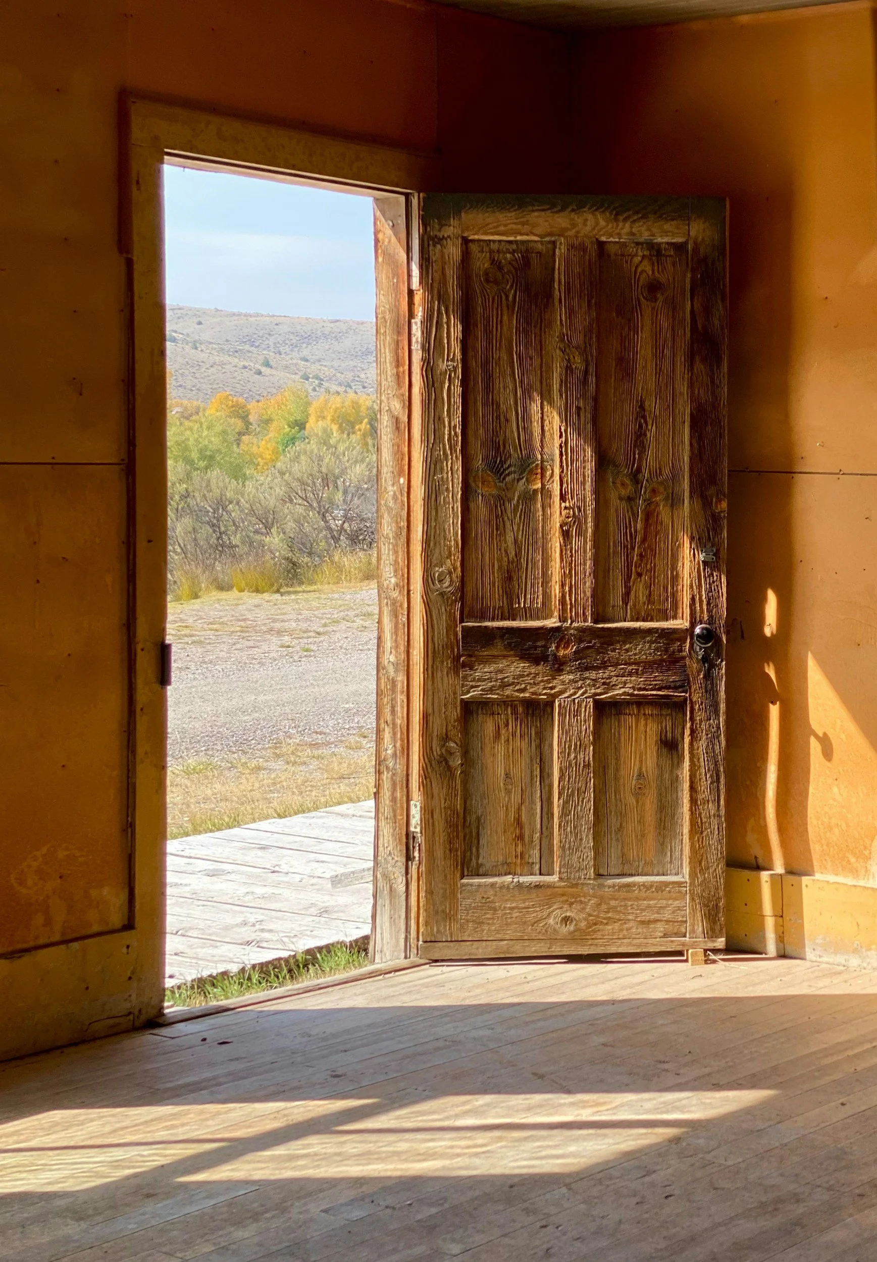 Open rustic wooden door leading outside to a landscape with hills, trees, and clear sky.