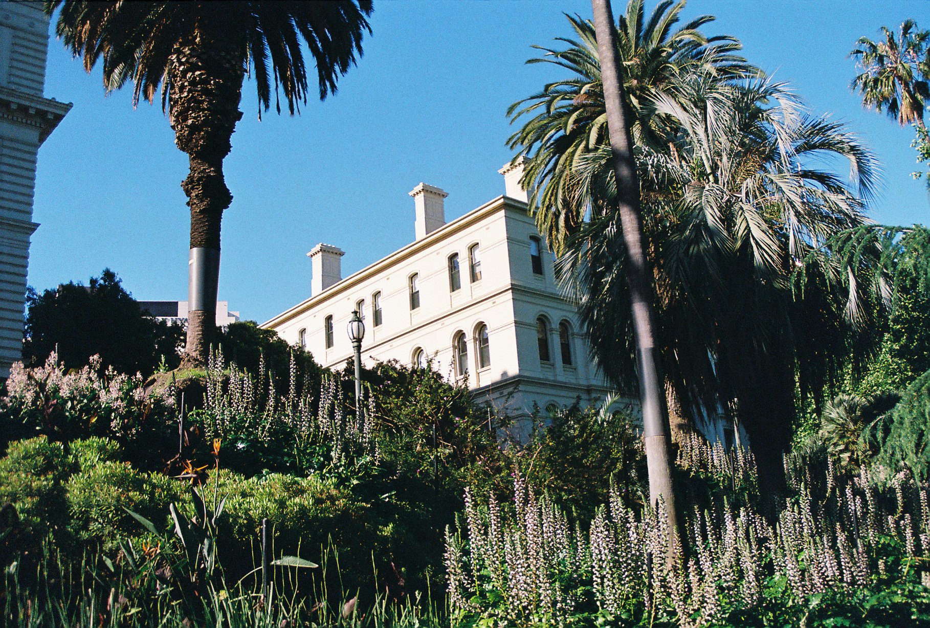 A white building with multiple windows, surrounded by palm trees and lush greenery under a clear blue sky.