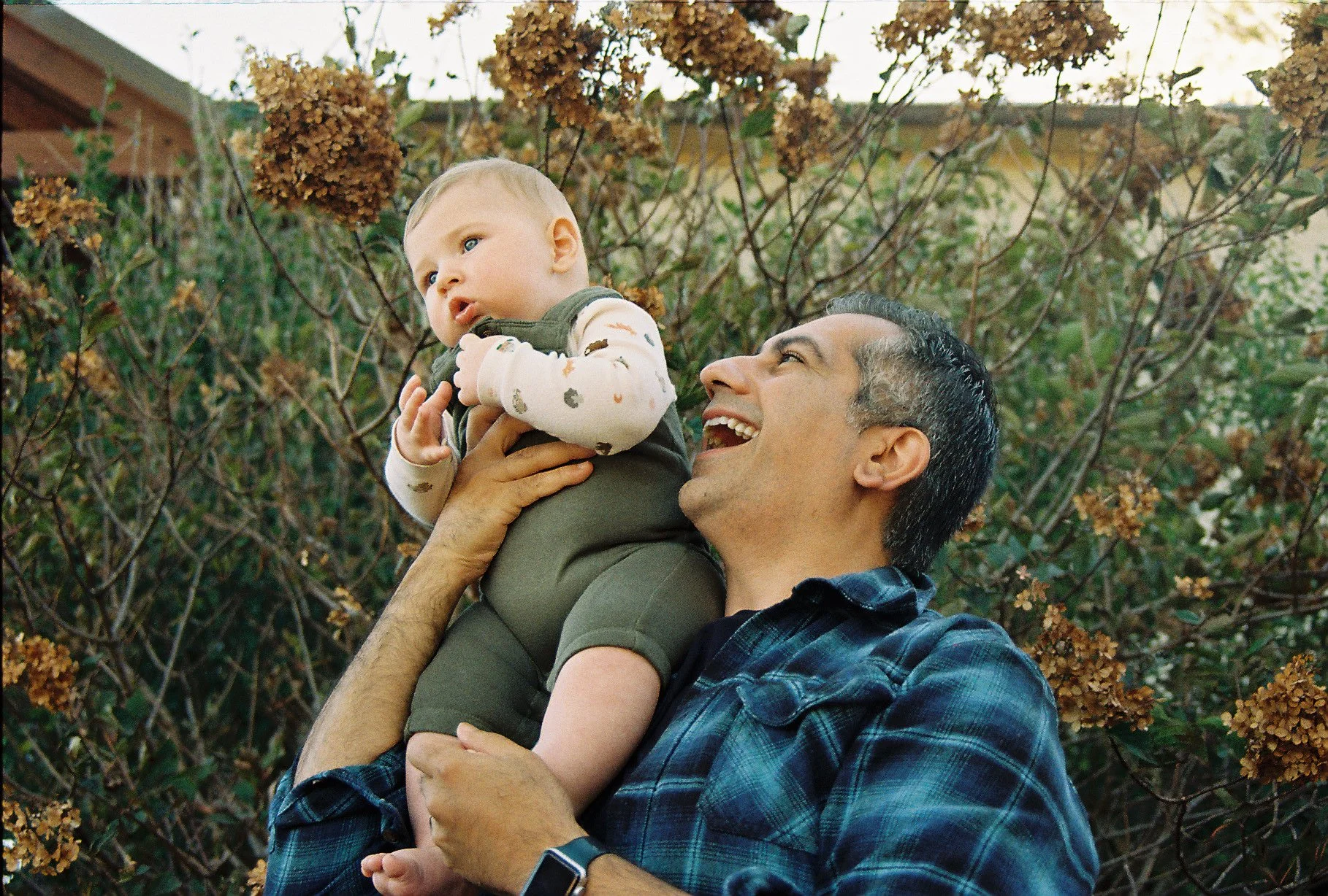 A man holding a young child outdoors, surrounded by dry hydrangea bushes, smiling and looking up at the child.