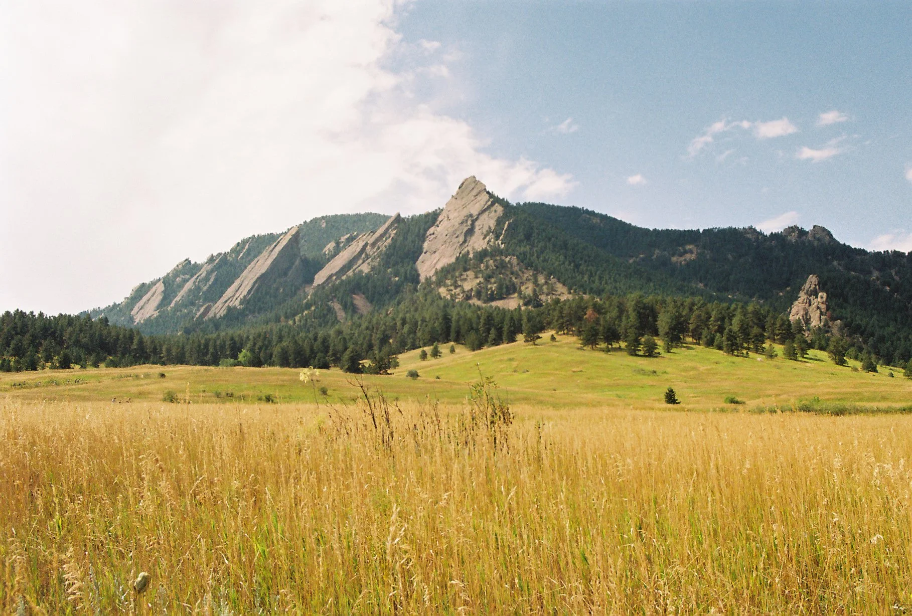 A scenic landscape featuring a grassy golden field in the foreground, a line of green trees behind the field, and a mountain with steep rocky ridges and green slopes under a partly cloudy sky.