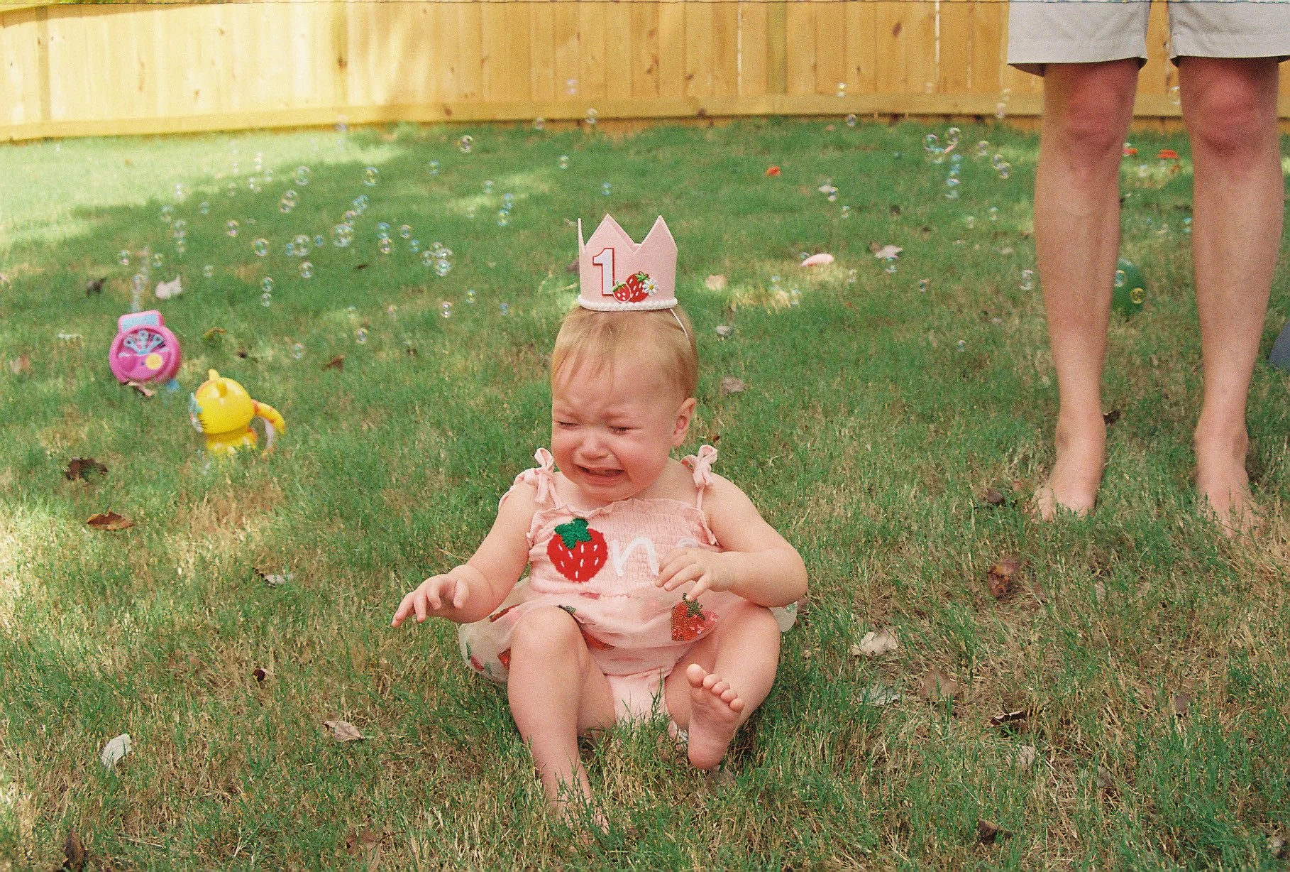 A young girl with a strawberry embroidered dress sitting on grass, crying, wearing a pink birthday crown with the number 1, in a backyard with toys and a wooden fence.
