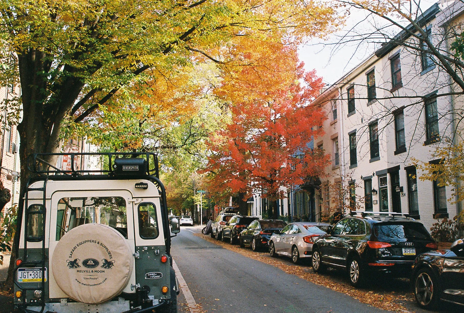 Street scene with parked cars, colorful autumn trees, and residential buildings.