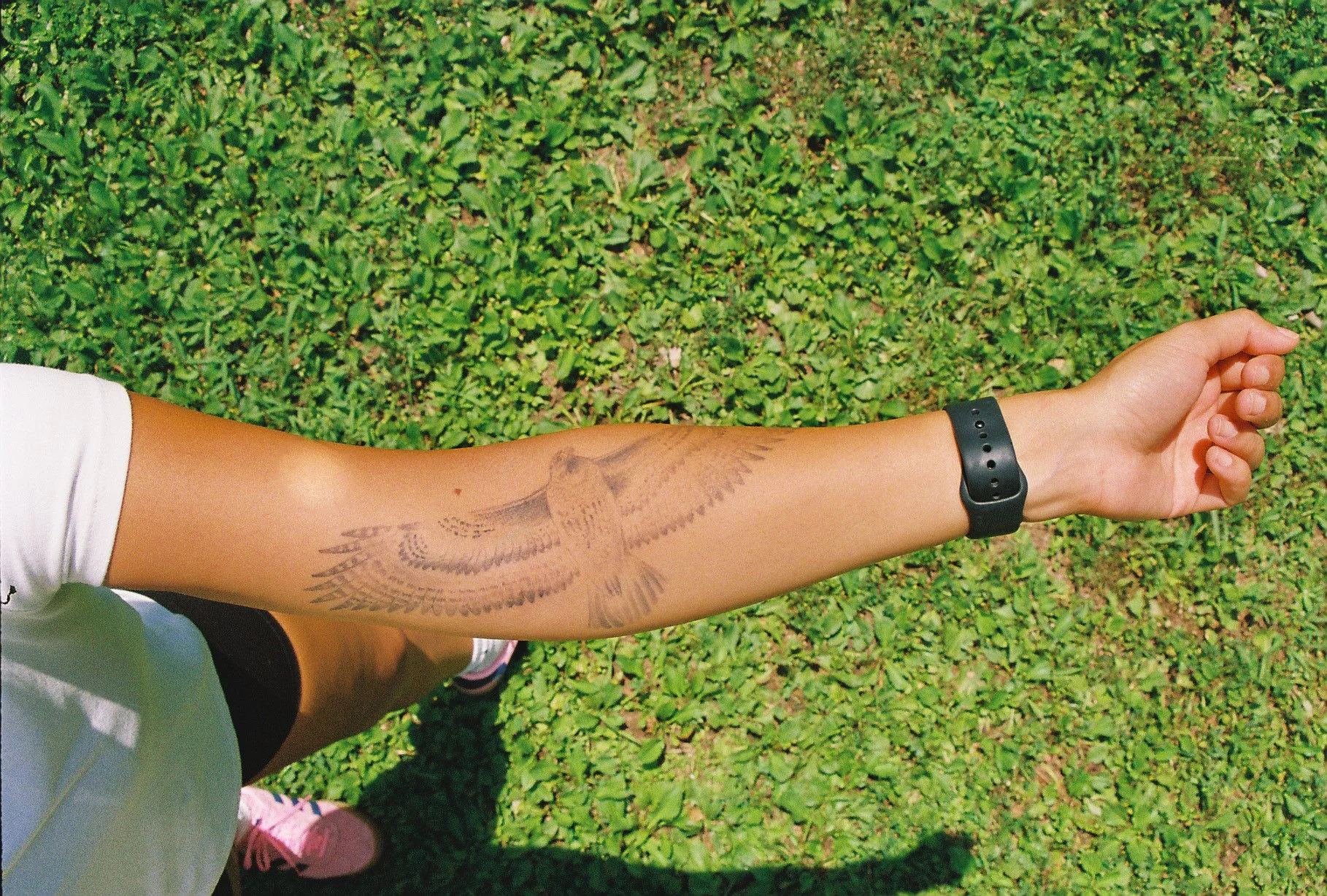 A person's arm with a bird tattoo, wearing a black wristband, extended from a white sleeve, against a background of green grass.