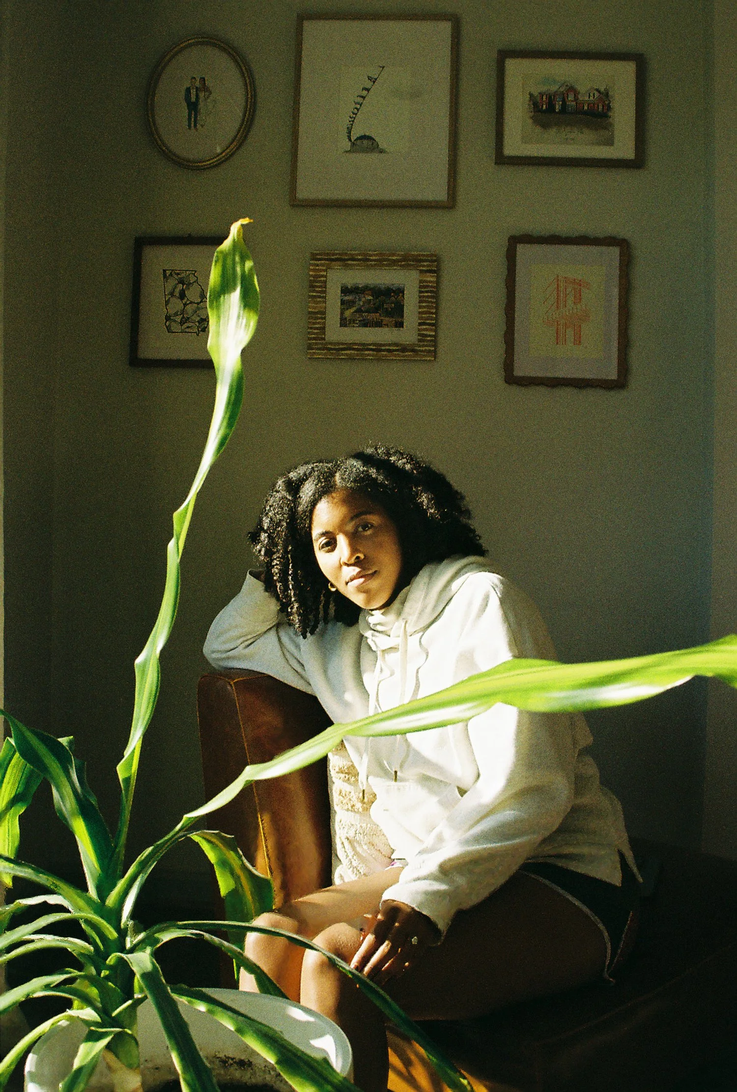 A woman with curly hair and a white hoodie sitting on a brown chair, partially hidden behind a large green houseplant, in a room with framed pictures on the wall behind her.