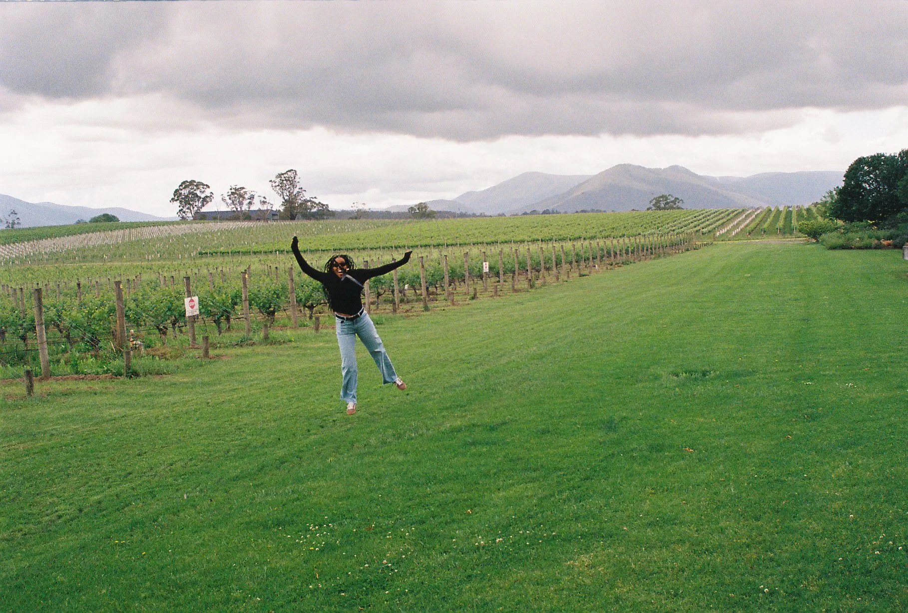 Person jumping in a grassy field with vineyards and mountains in the background under cloudy skies.