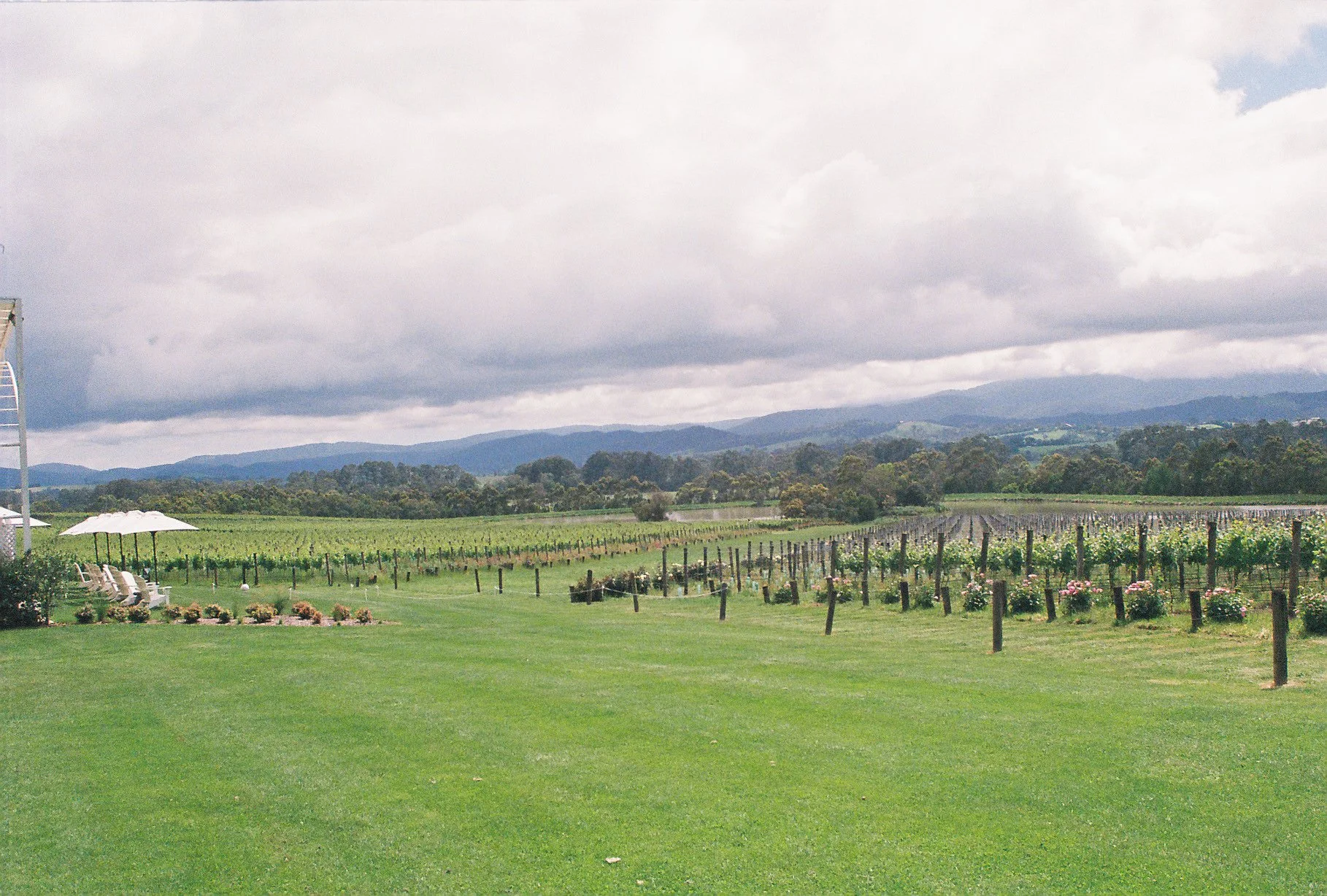 Green lawn with vineyard and hills in the background, cloudy sky above.