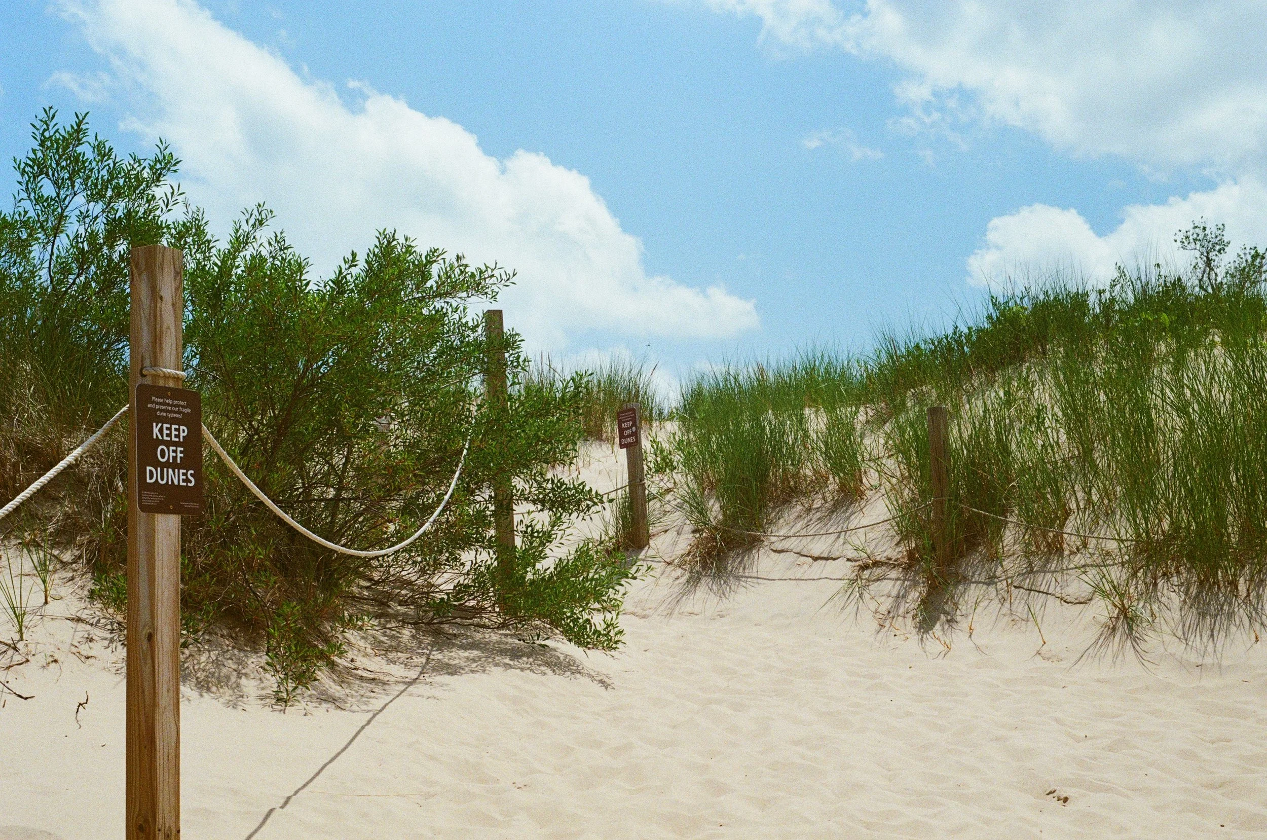 29. Indiana Sand Dunes Park_#4.jpg