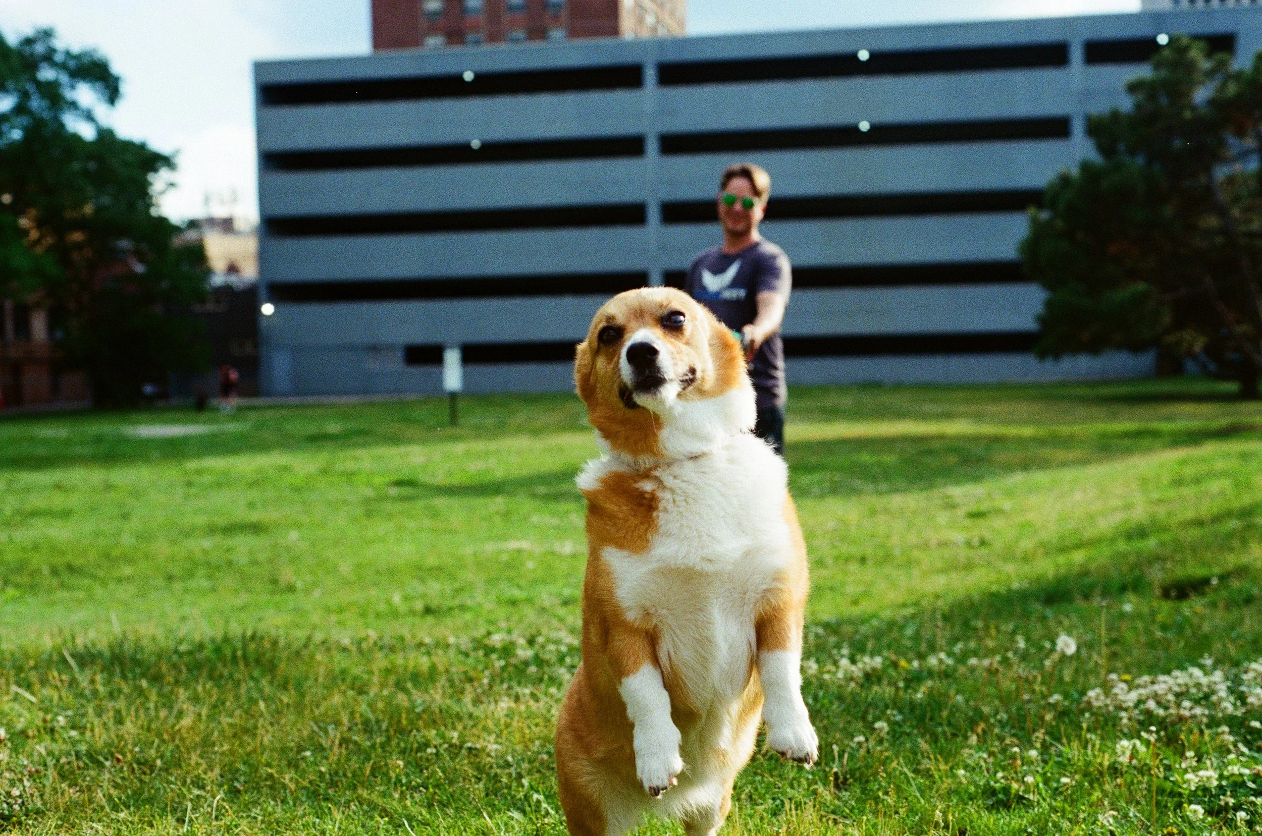 11. Random Dog_#1.jpg