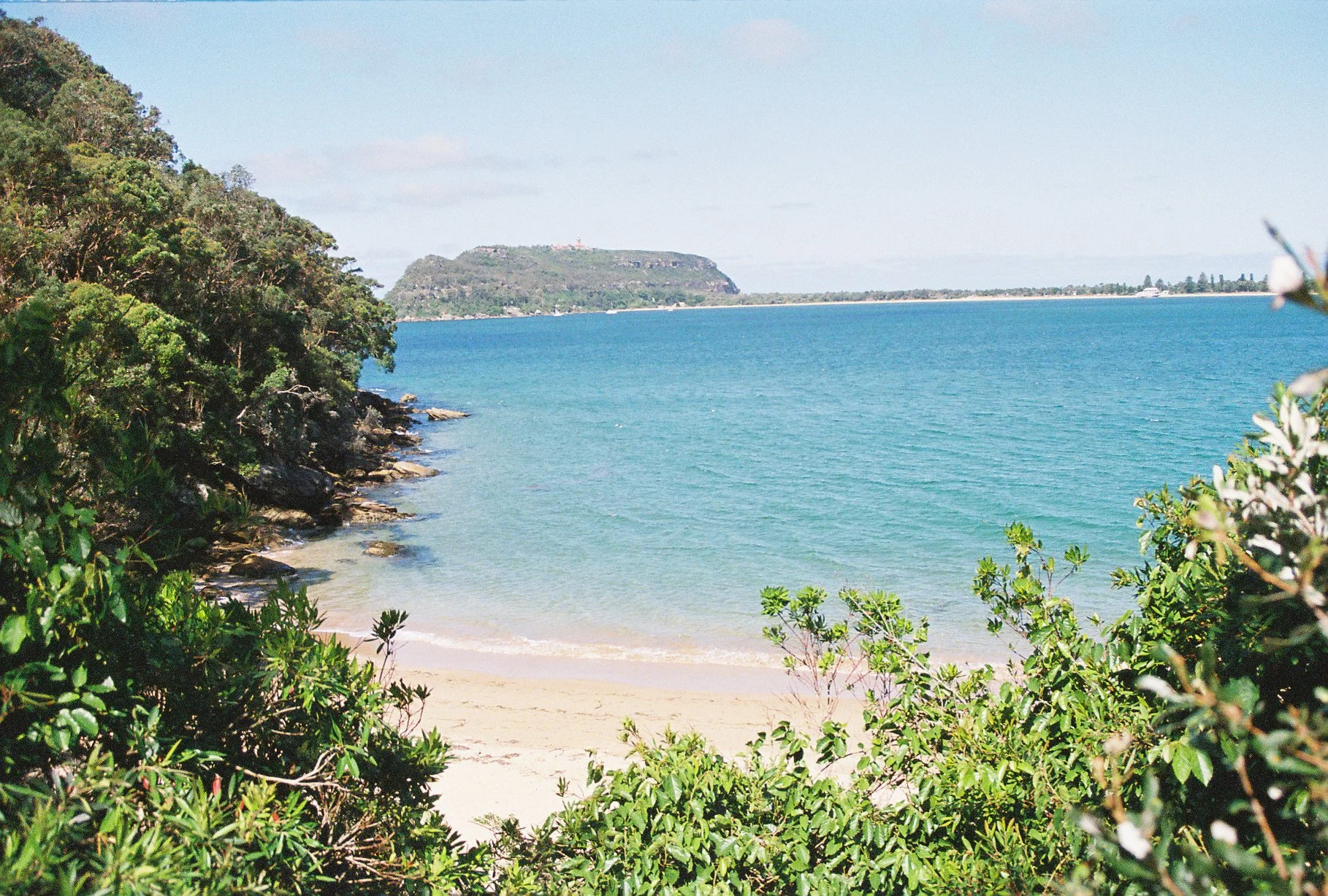 A tranquil beach scene with clear blue water, a sandy shore, green shrubbery in the foreground, and a forested hill in the background under a partly cloudy sky.