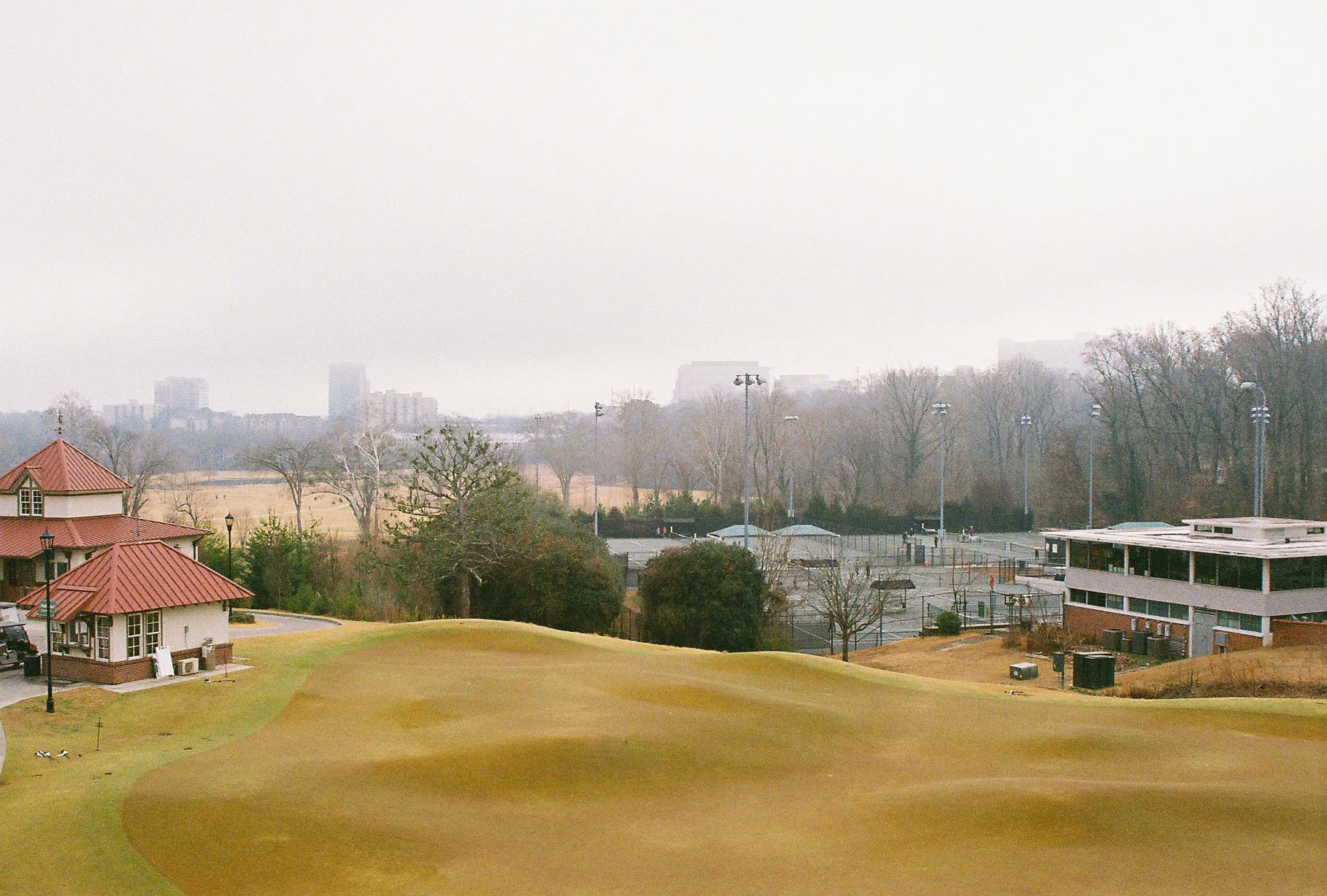 6. Bitsy Grant_#2.jpeg