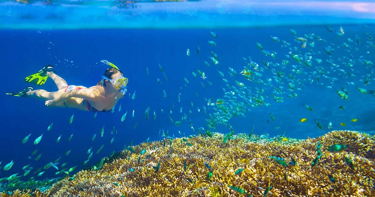 Snorkeling in Santa Maria Bay reef of fish great recommendation for fun with whole family in los cabos Mexico clear blue water aqua marine awesome
