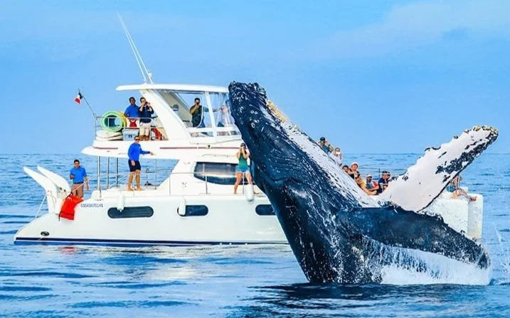 Penthouse rentals in Cabo San Lucas ocean view luxury on Medano Beach walkable to downtown and marinaPenthouse rentals in Cabo San Lucas ocean view luxury on Medano Beach walkable to downtown and marina