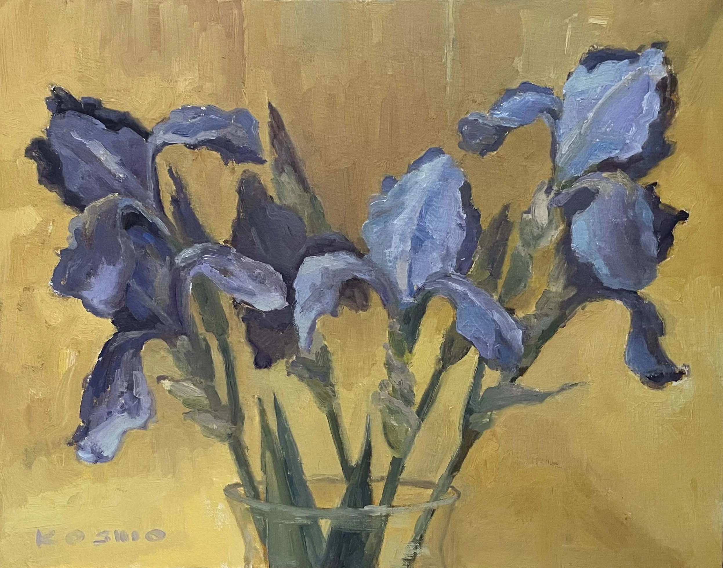 "McCloud Irises,"
Studio, 11x14, Oil