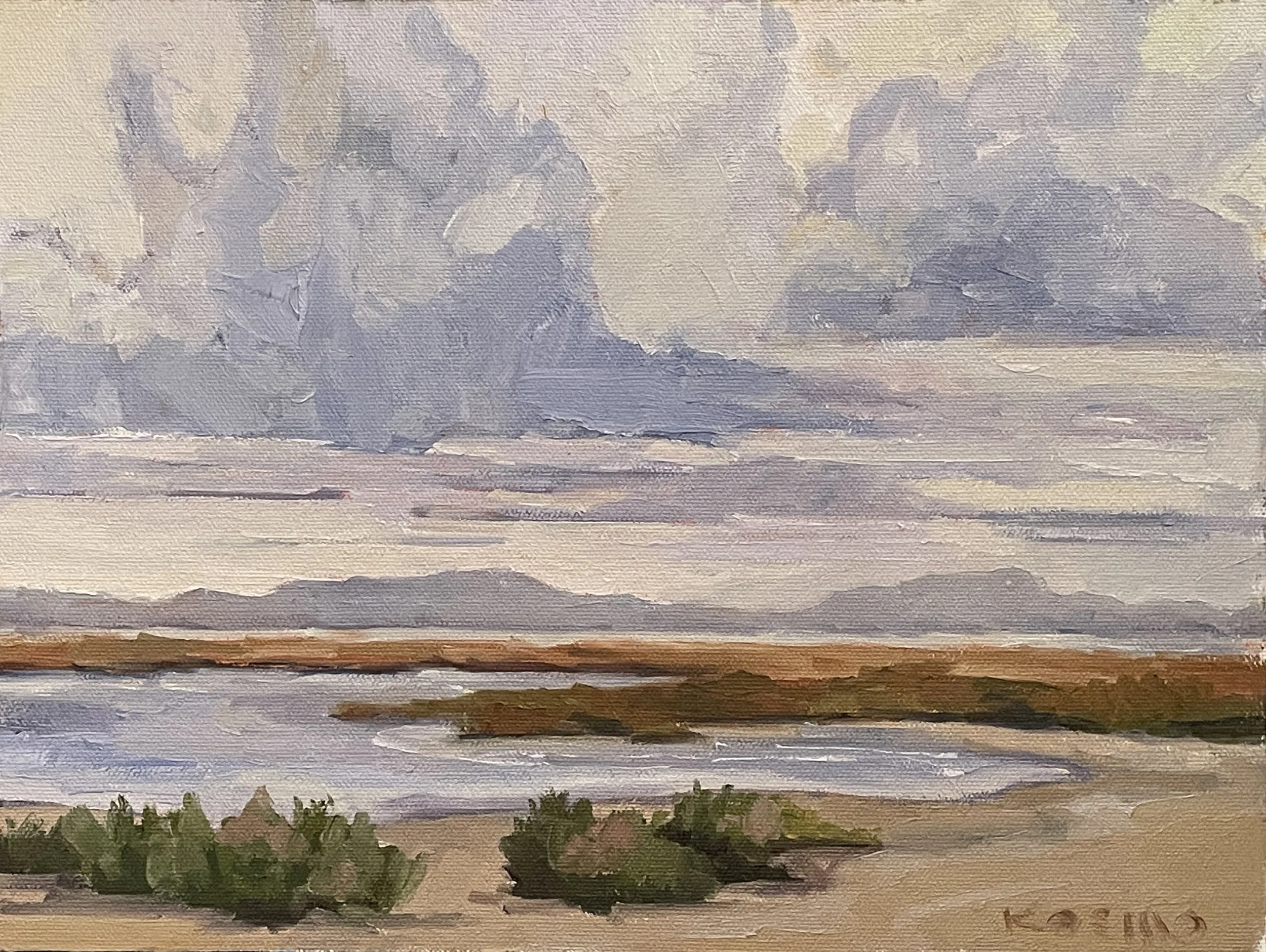 "The Bayland's Clouds," On Location, Palo Alto Baylands, 9x12, Oil 