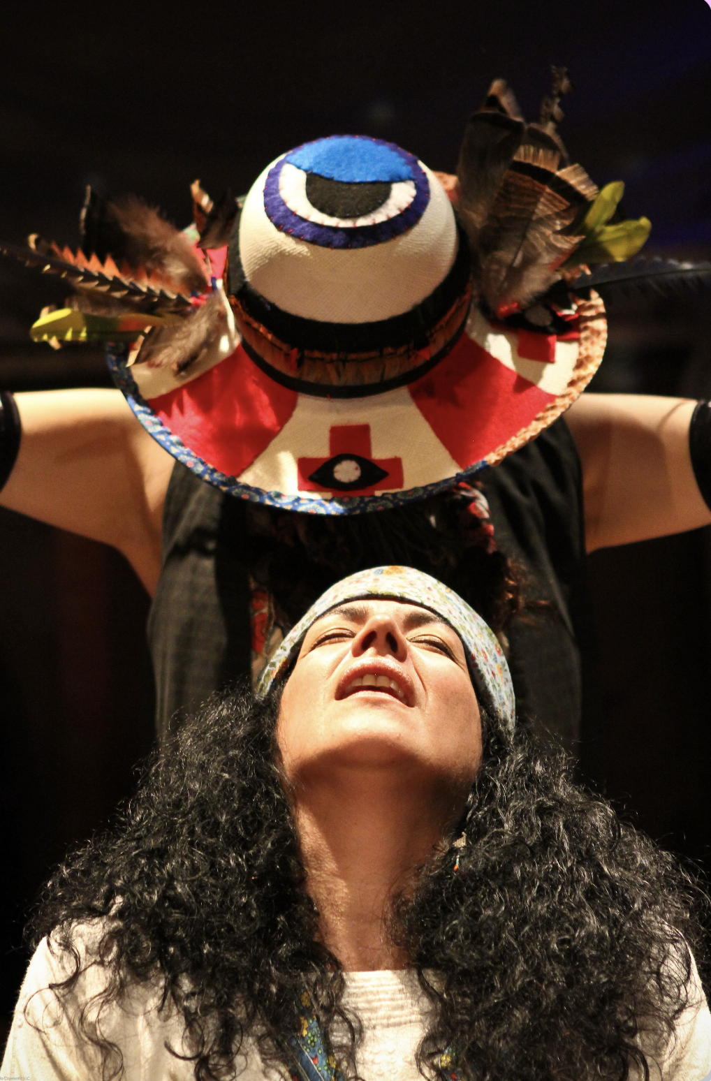 Art and Activism Speaker Series