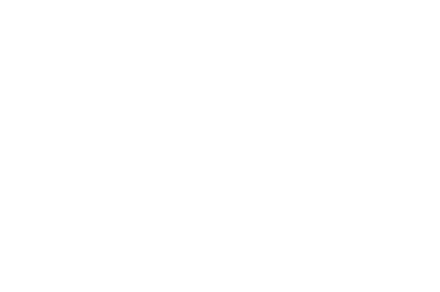 Best Documentary - Toronto Film School Festival - 2025.png