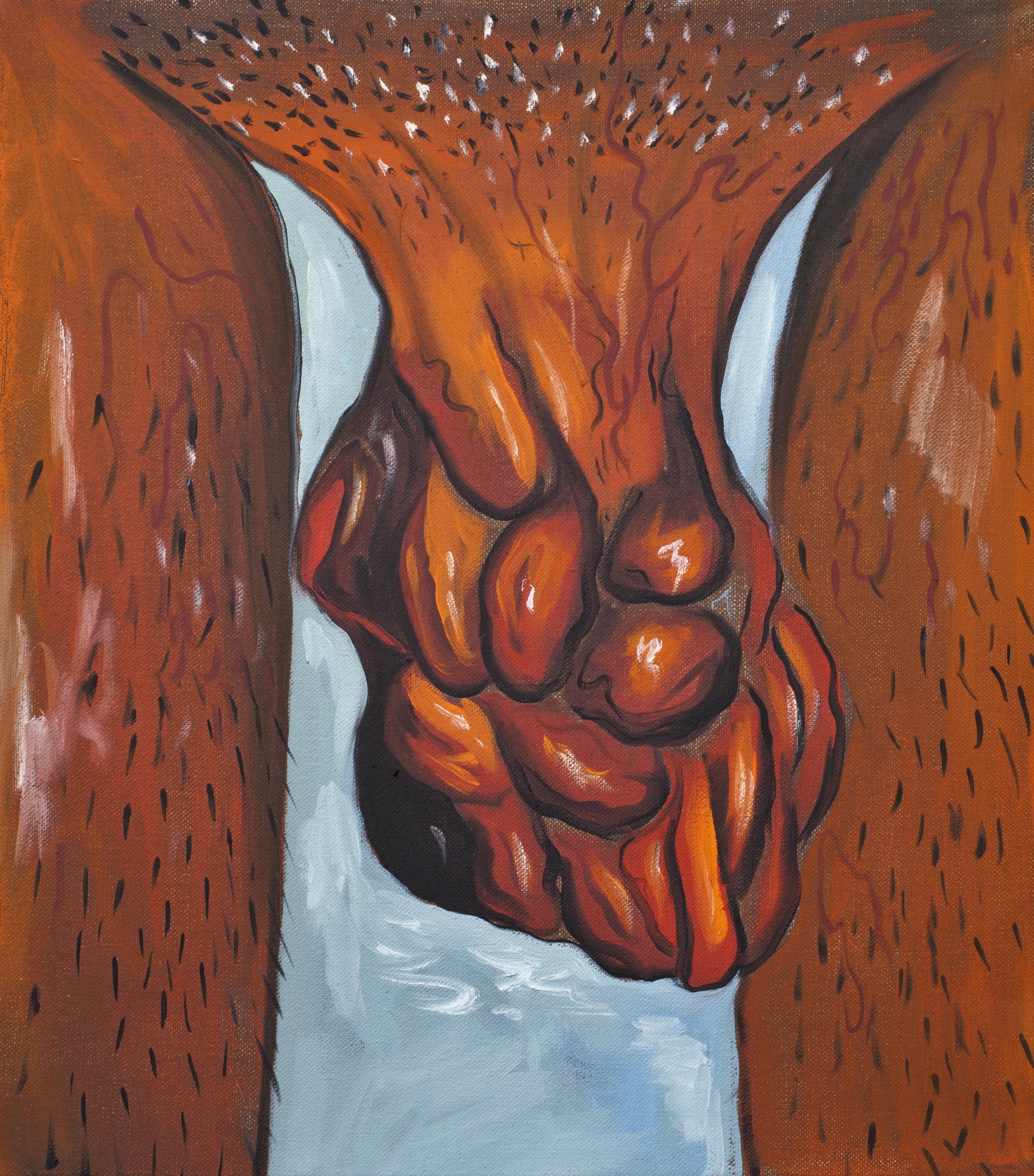 Nut 45x50cm  2011 oil on canvas 400dpi.jpg
