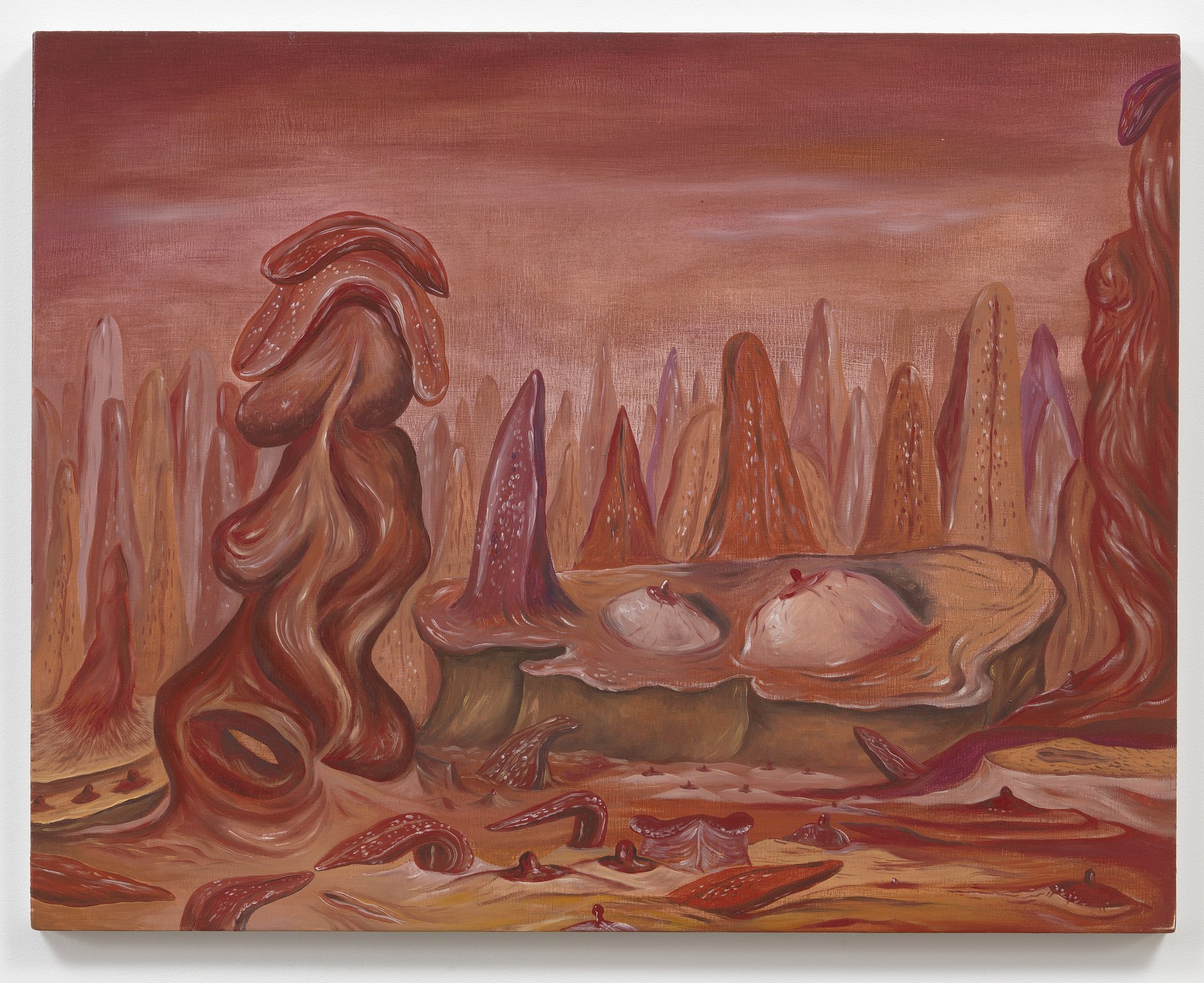 Copy of ZIOLK44585.jpg