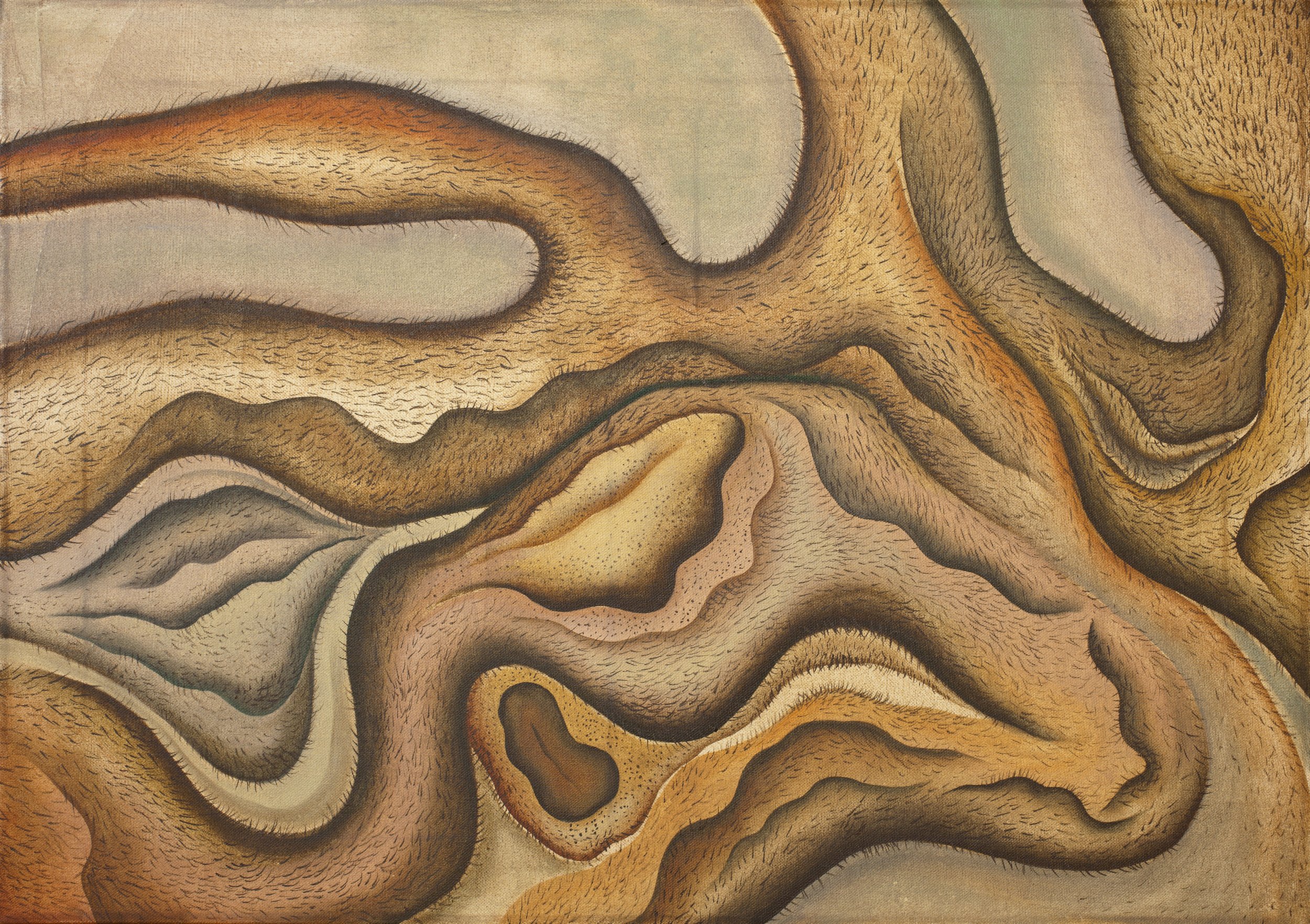 77 Untitled oil canvas 2013 52x73cm 300dpi.jpg