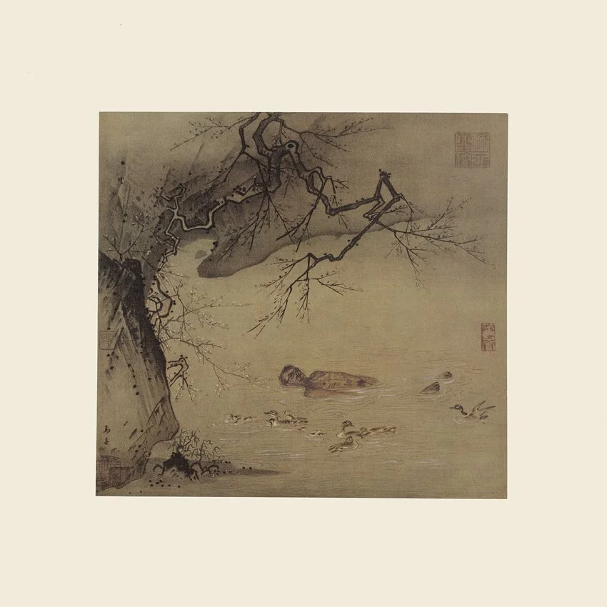 7 39x39 2015 72dpi .jpg