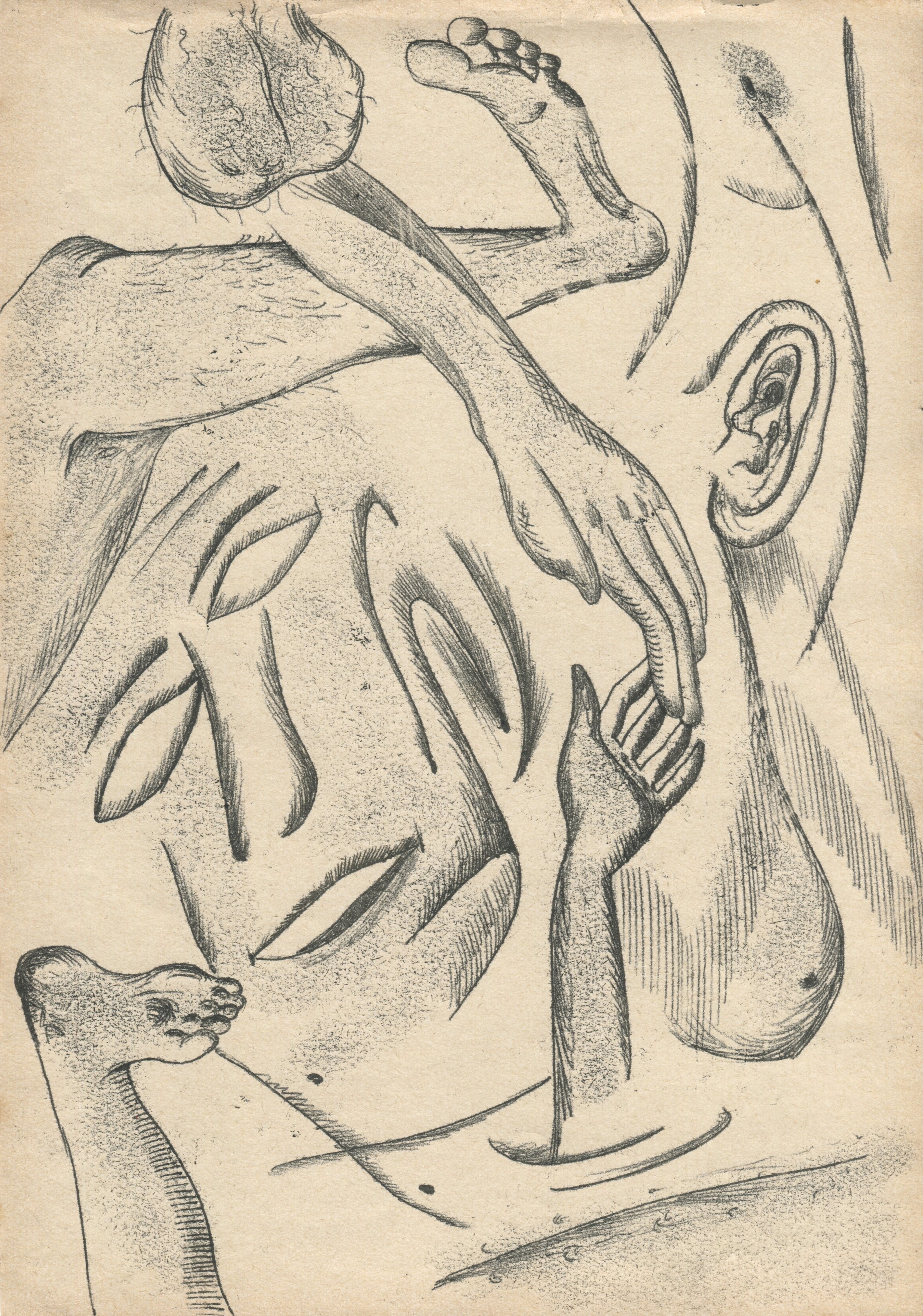 JJZ_rysunek_15_30x21cm_2024 1.jpeg