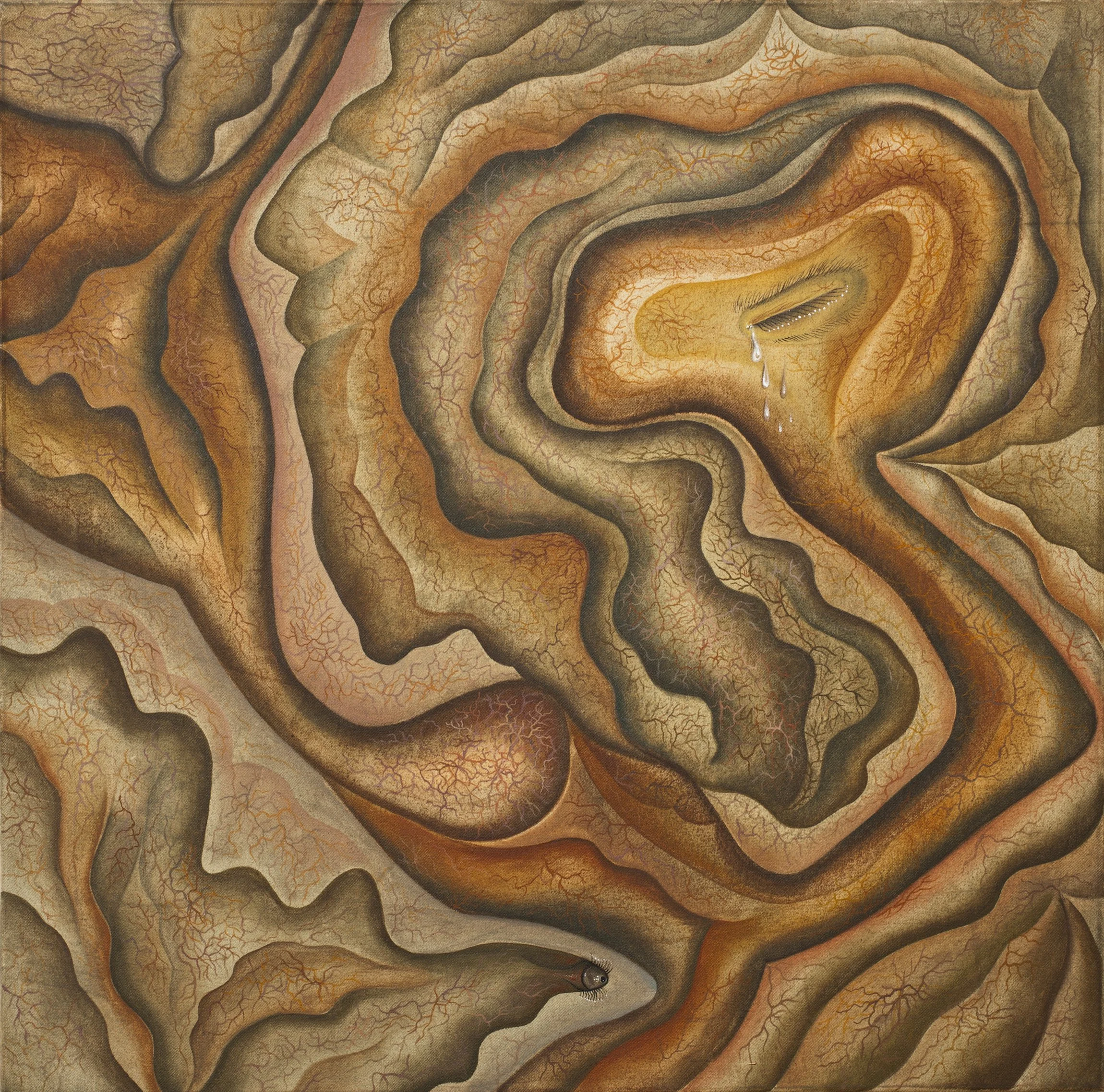 76 Untitled (Beksa)  oil canvas 2013 60x61cm 300dpi.jpg