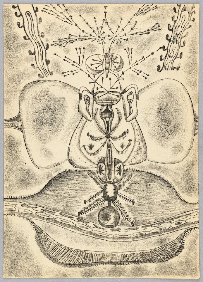 MOCAK_BOOK_JJZ_bez tytułu_29,8×21cm_monotypia, papier_2022_photo Rafał Sosin_72dpi.jpg