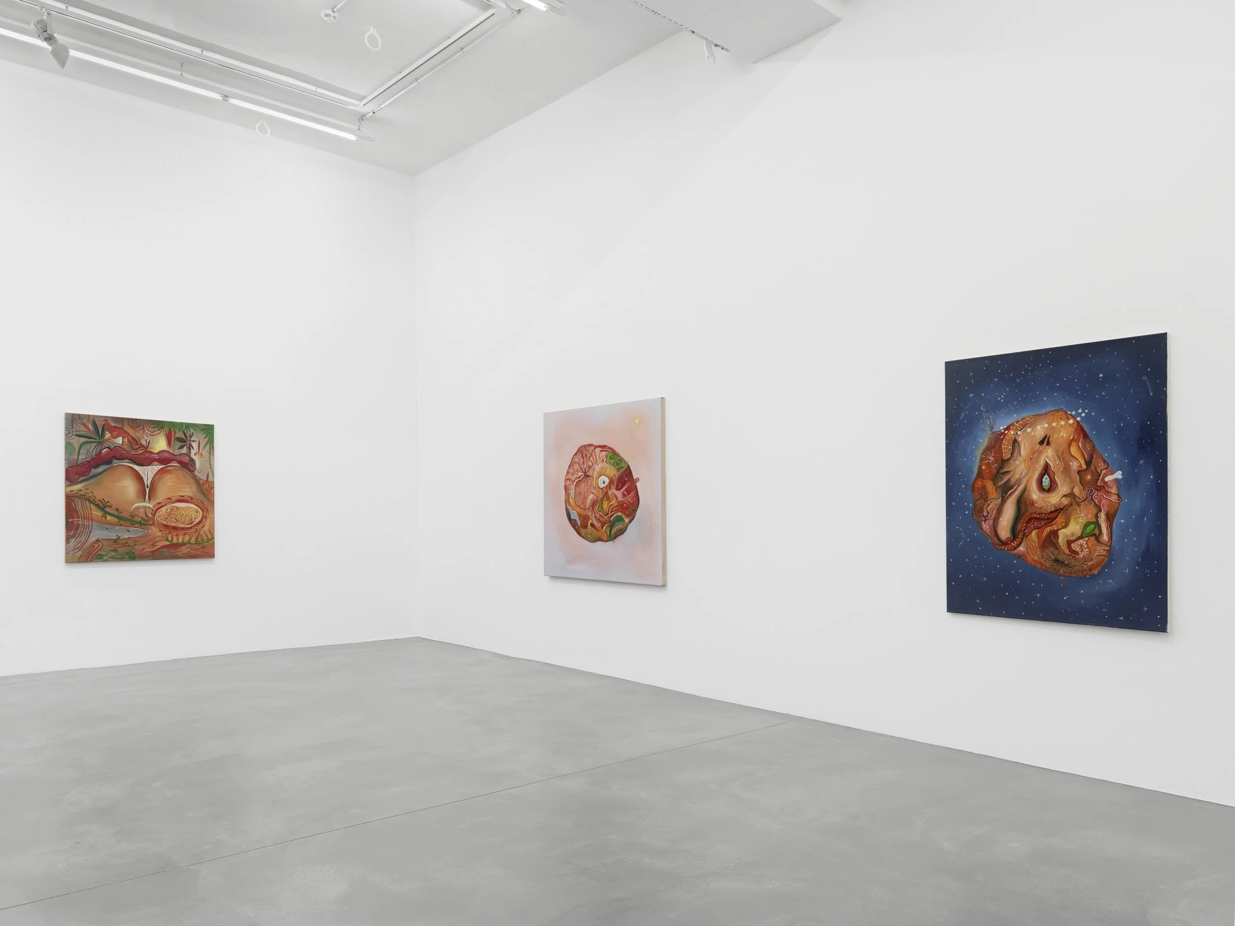 ZIOLK HWZiv 2013 06 BU.jpg